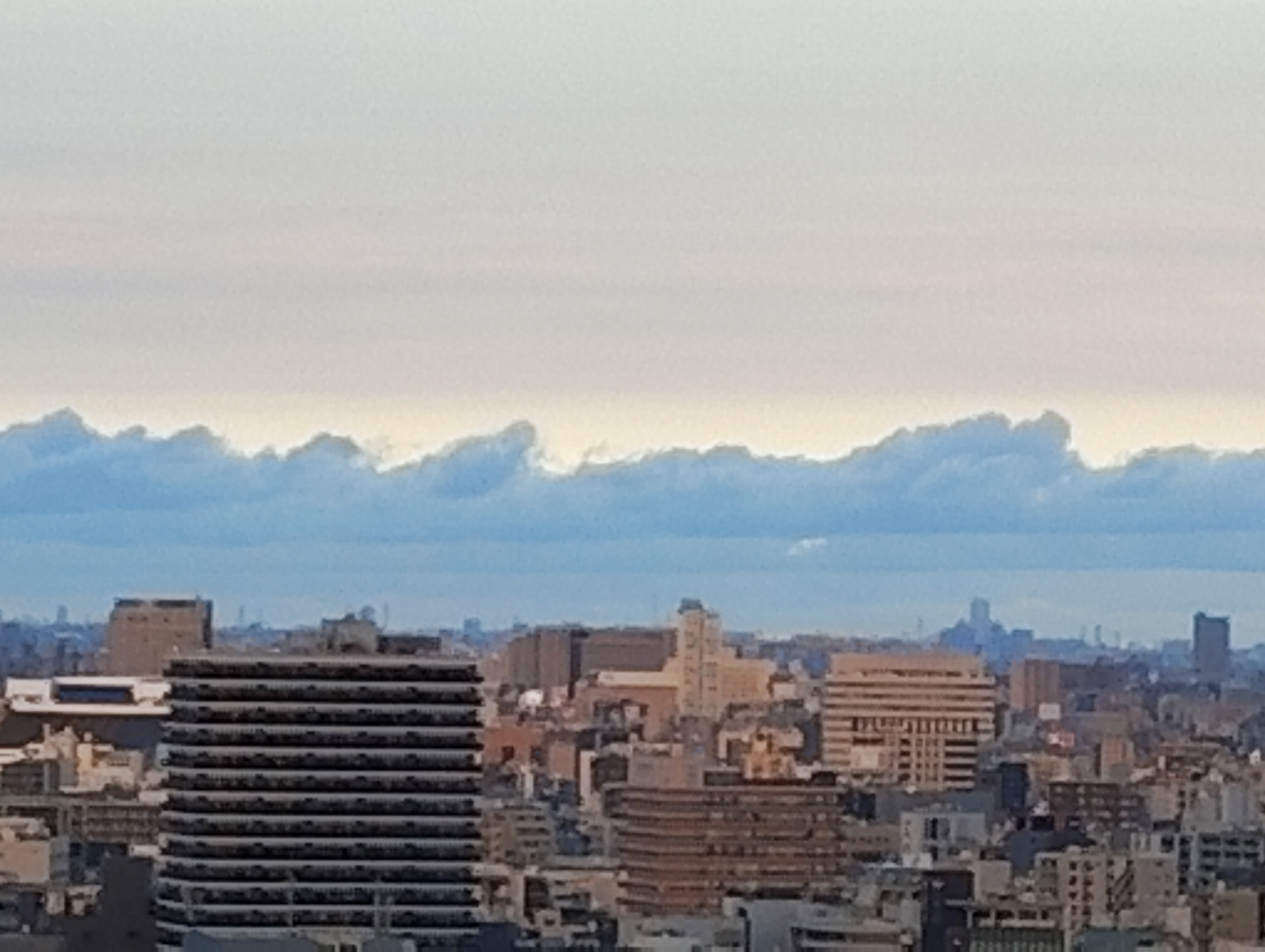 最大倍率（×8）まで拡大