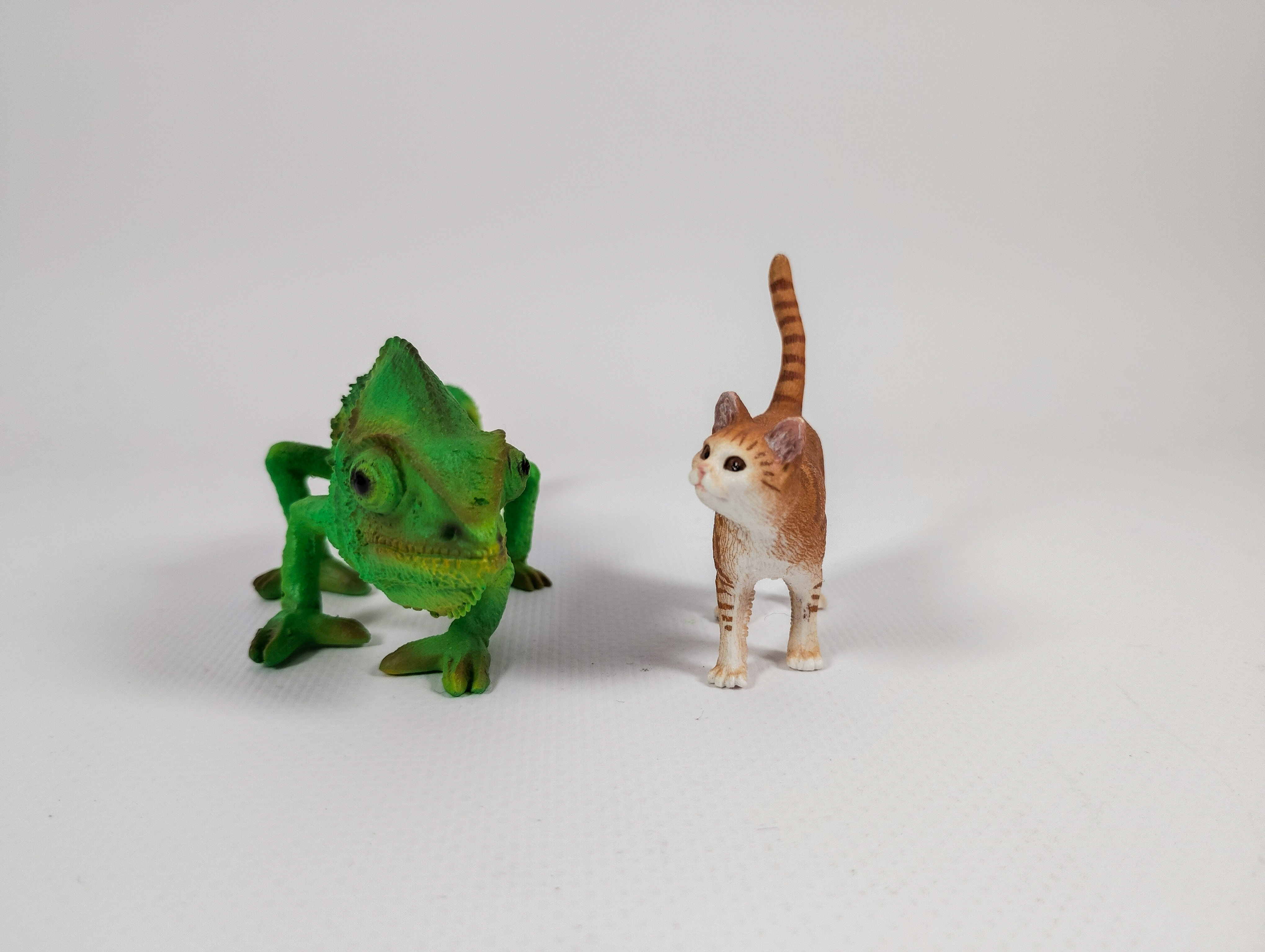 広角カメラ（×1）で撮影