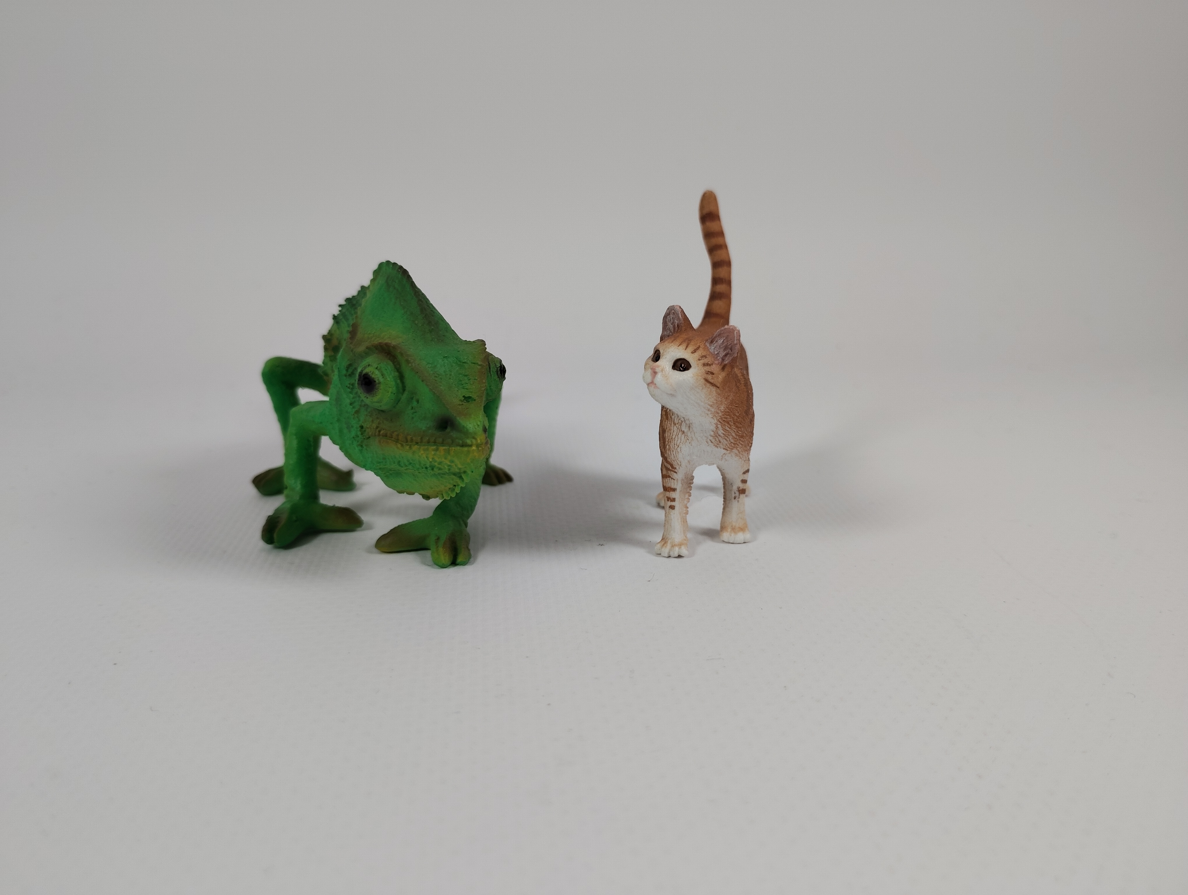 広角カメラ（×1）