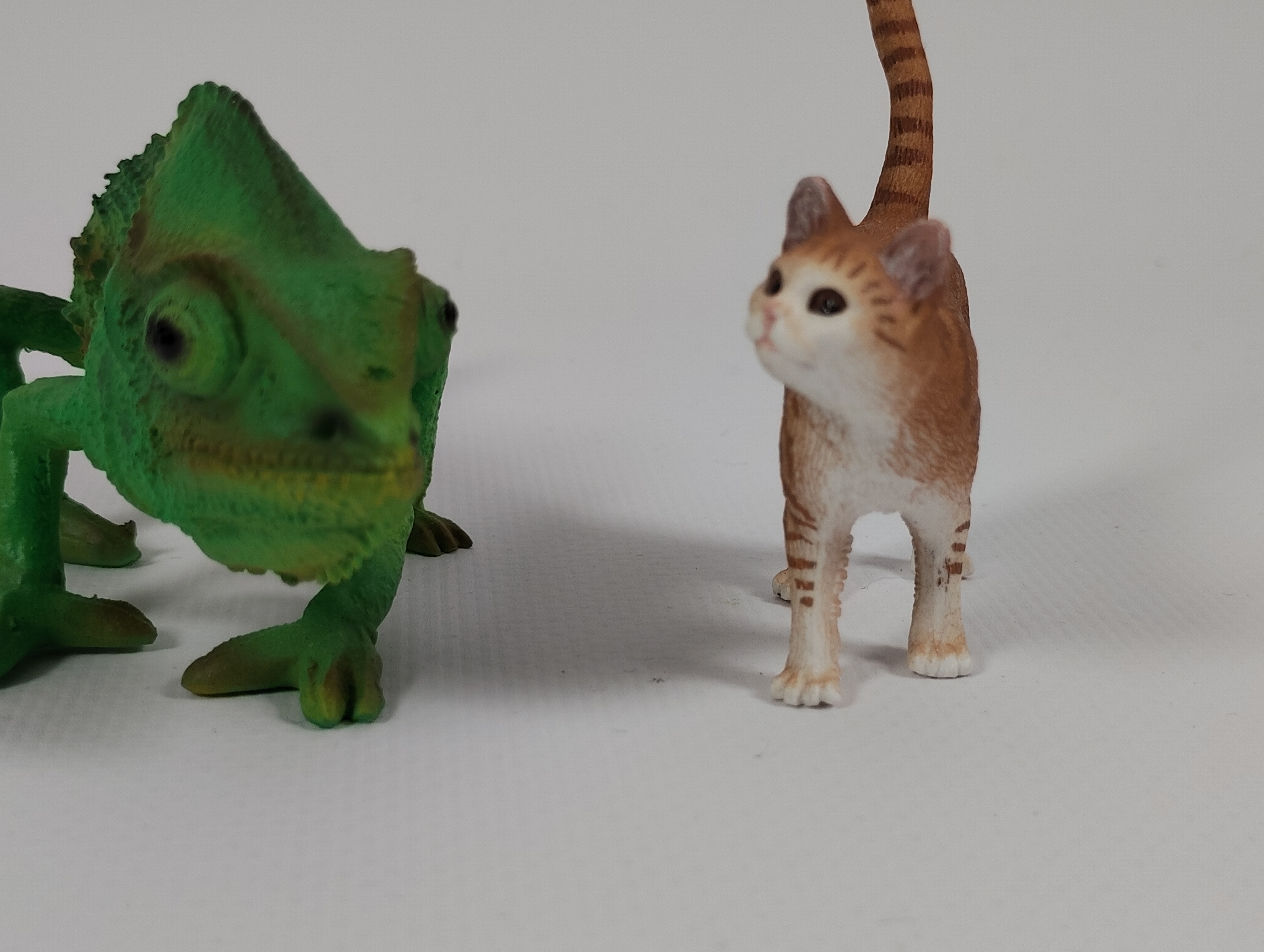 広角カメラ（×2）