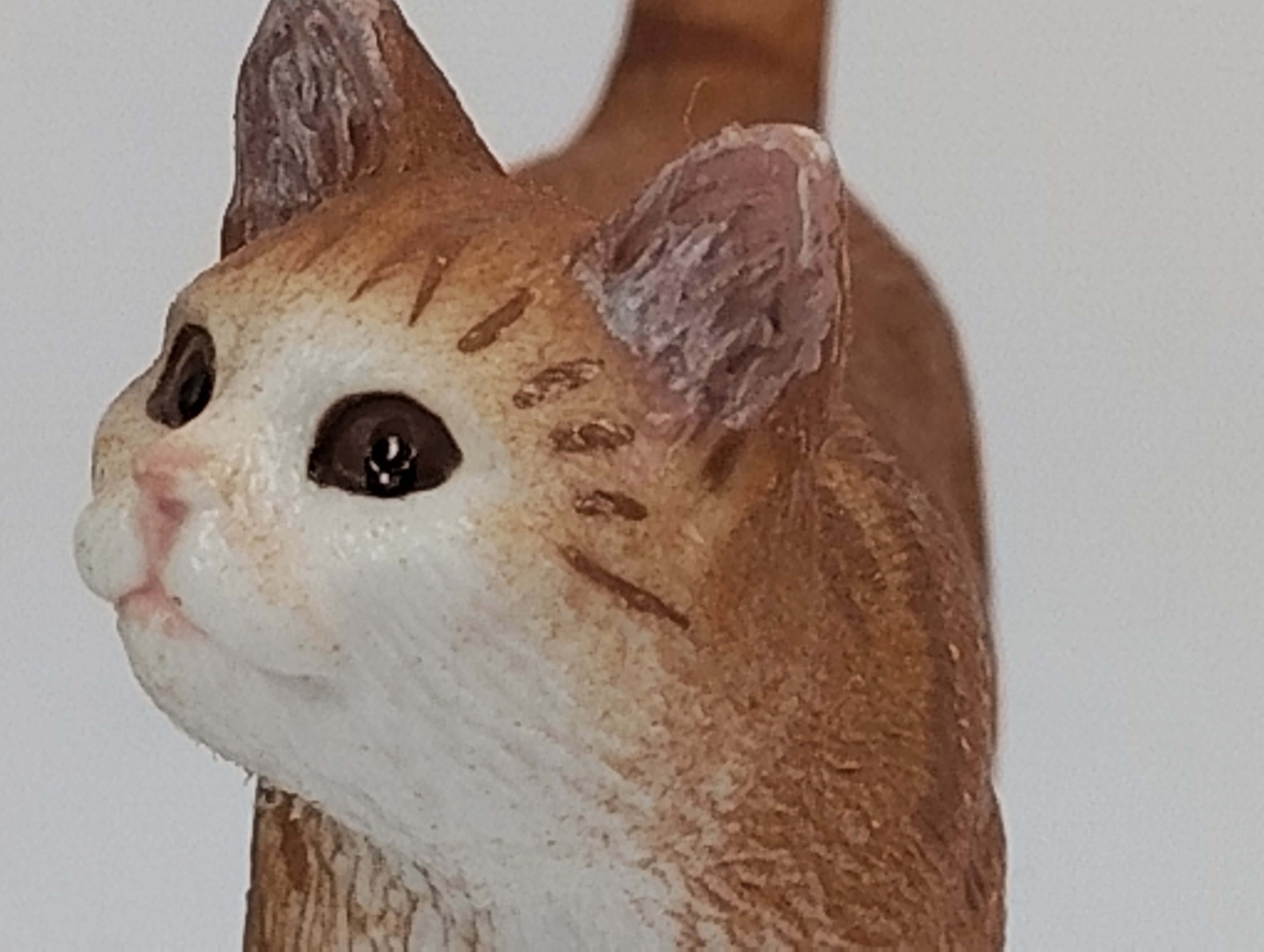 最大倍率（×8）まで拡大