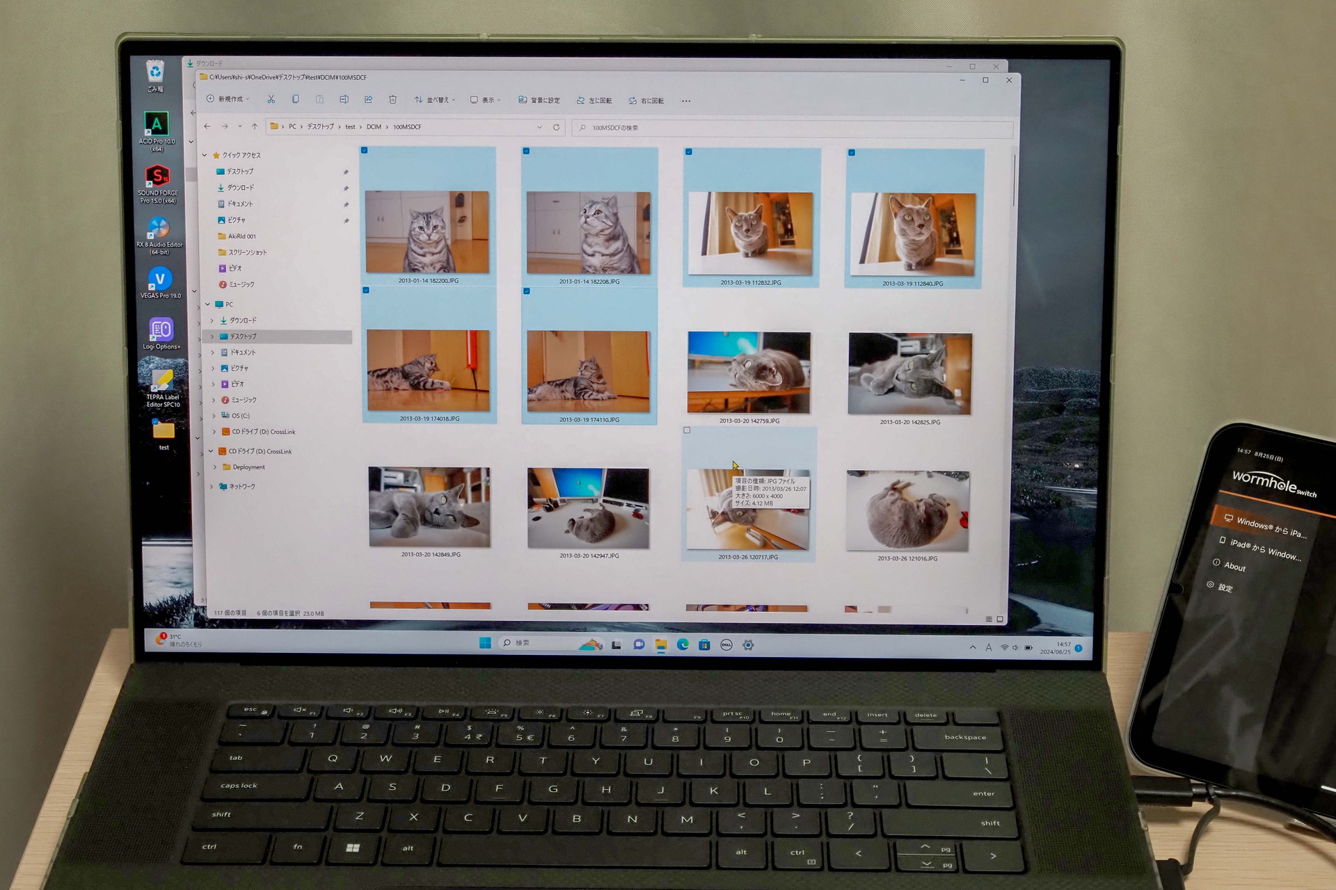 Windowsパソコン内にある猫の写真をiPadにコピーする。