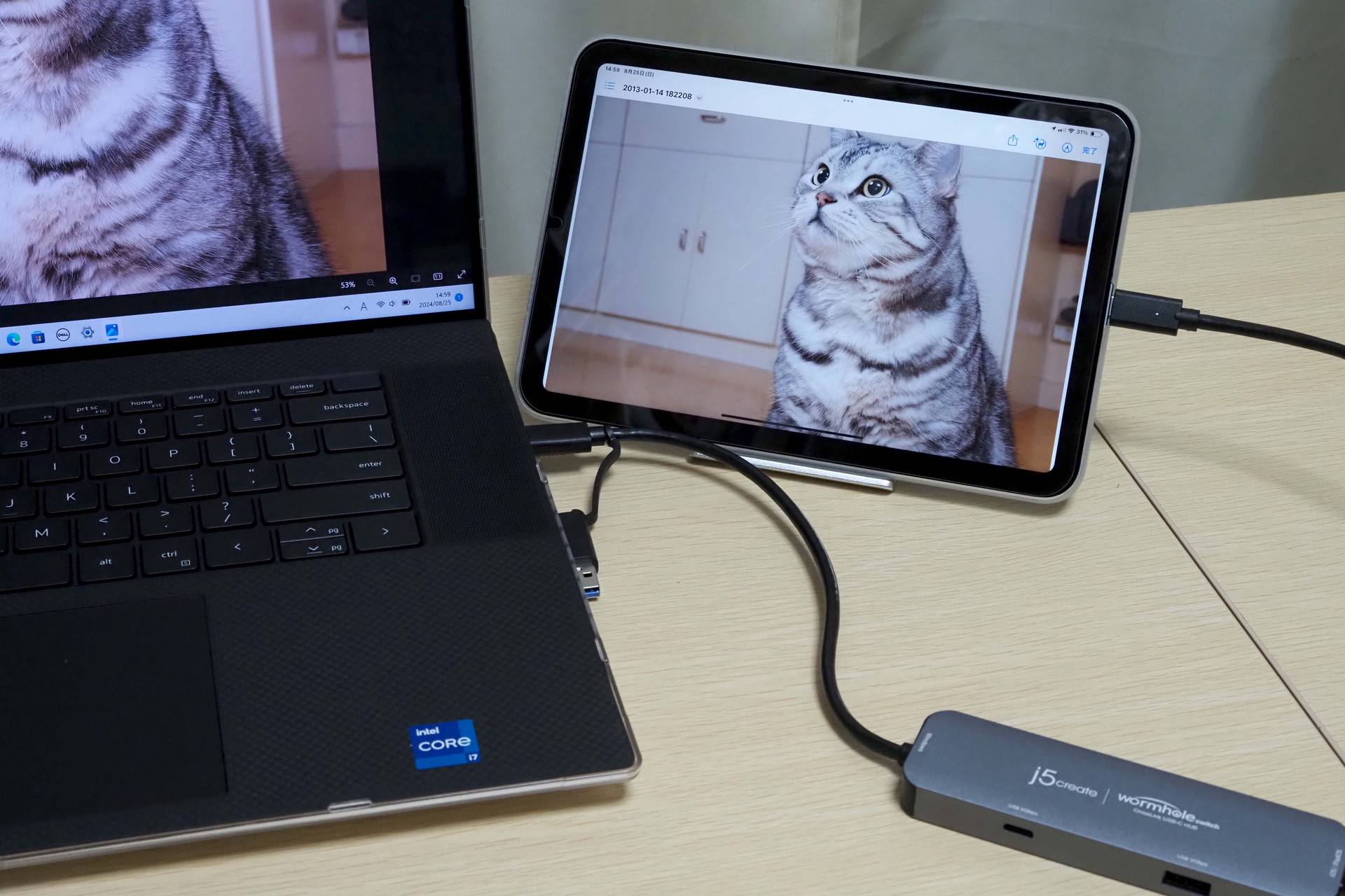 ほとんど一瞬でWindowsパソコン→iPadへとコピーされた。