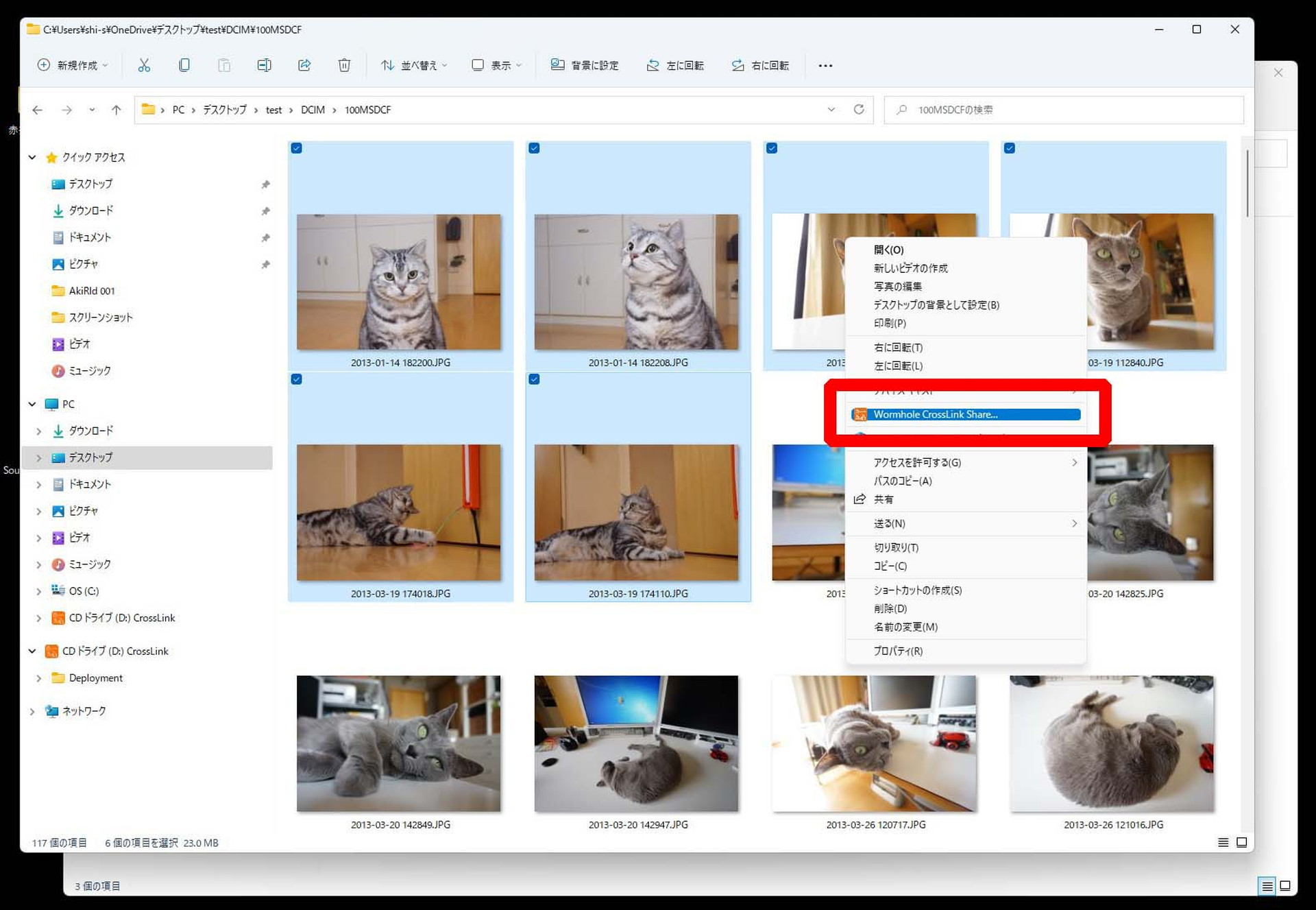 選択肢のなかに「Wormhole CrossLink Share...」が現れるので、それをクリック。