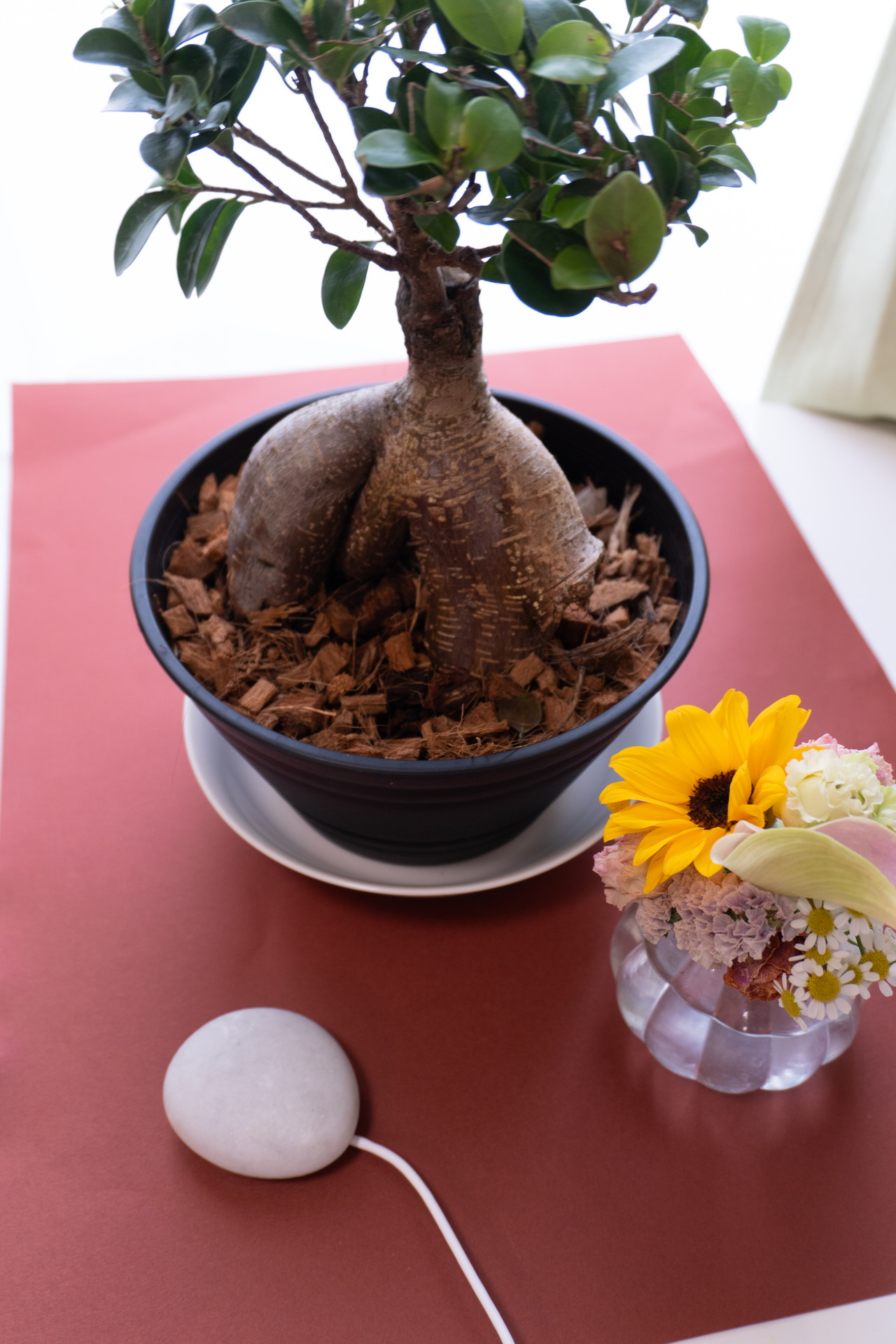 植物と並べてみたくなるデザインだ。