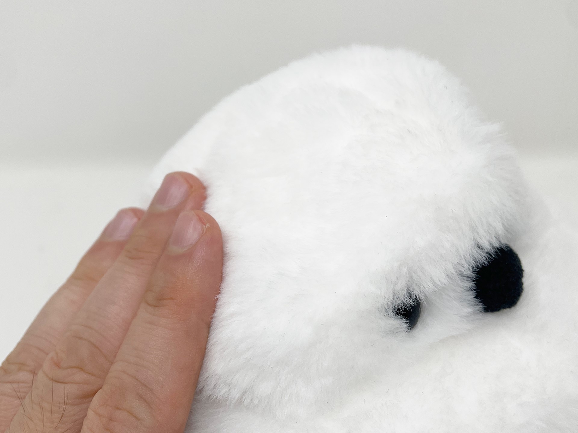 フワフワの毛並み。ただの可愛いぬいぐるみだと思っていましたが……。