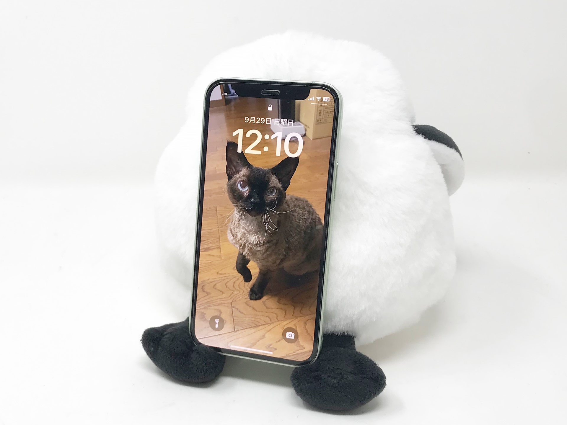 端末が大きすぎたかとiPhone 12 miniを置いてみましたが、やっぱり顔は見えませんでした。