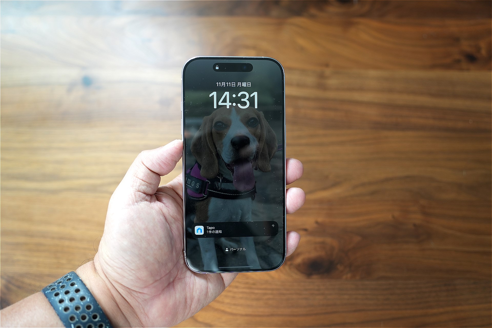 iPhoneの常時表示ディスプレイは壁紙もうっすら見える。オフにしたほうが電池は持つのだろうが、素早く時刻や通知を確認できるのが便利で、もはや手放せない