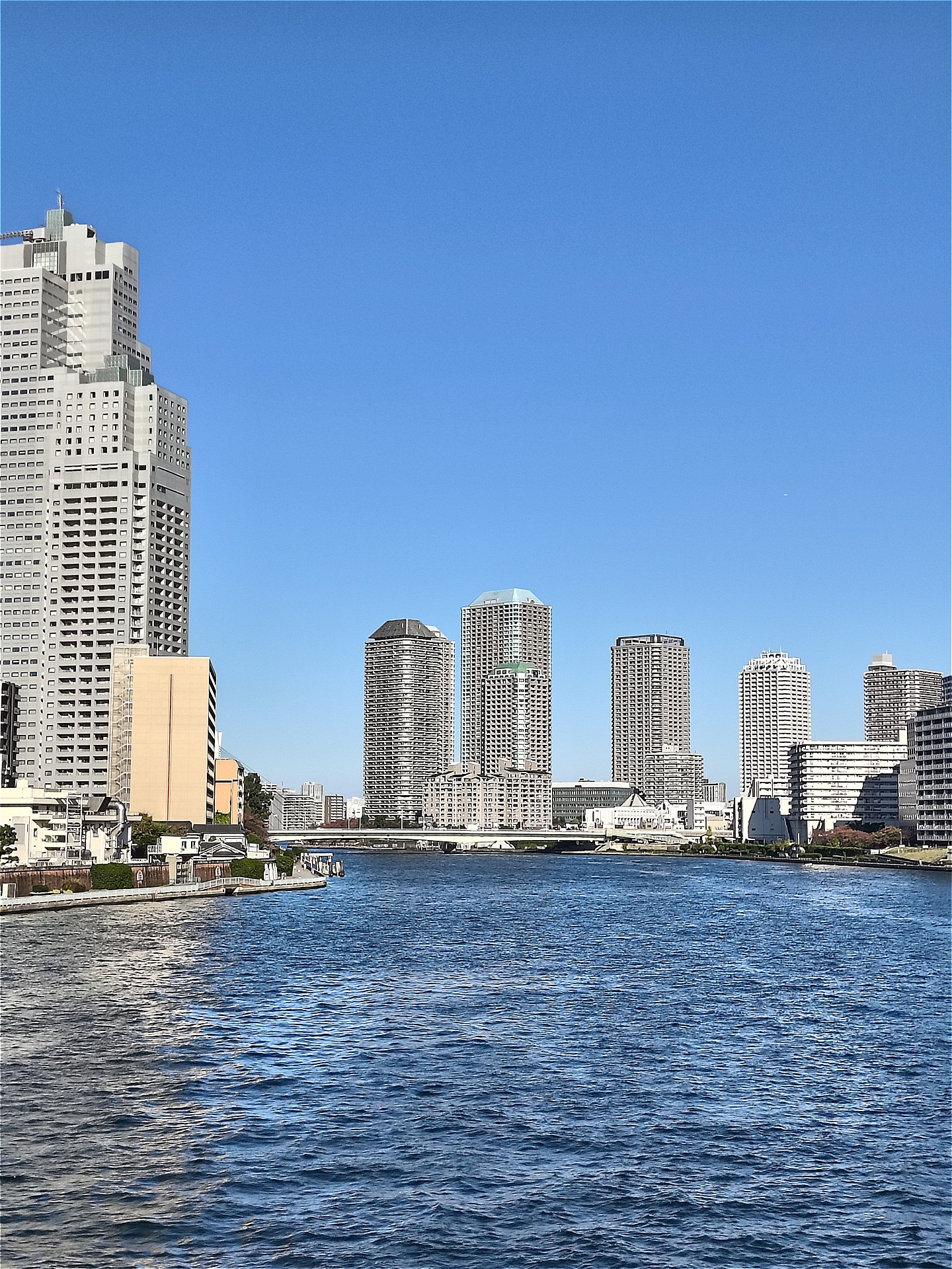 2x（2倍デジタルズーム）