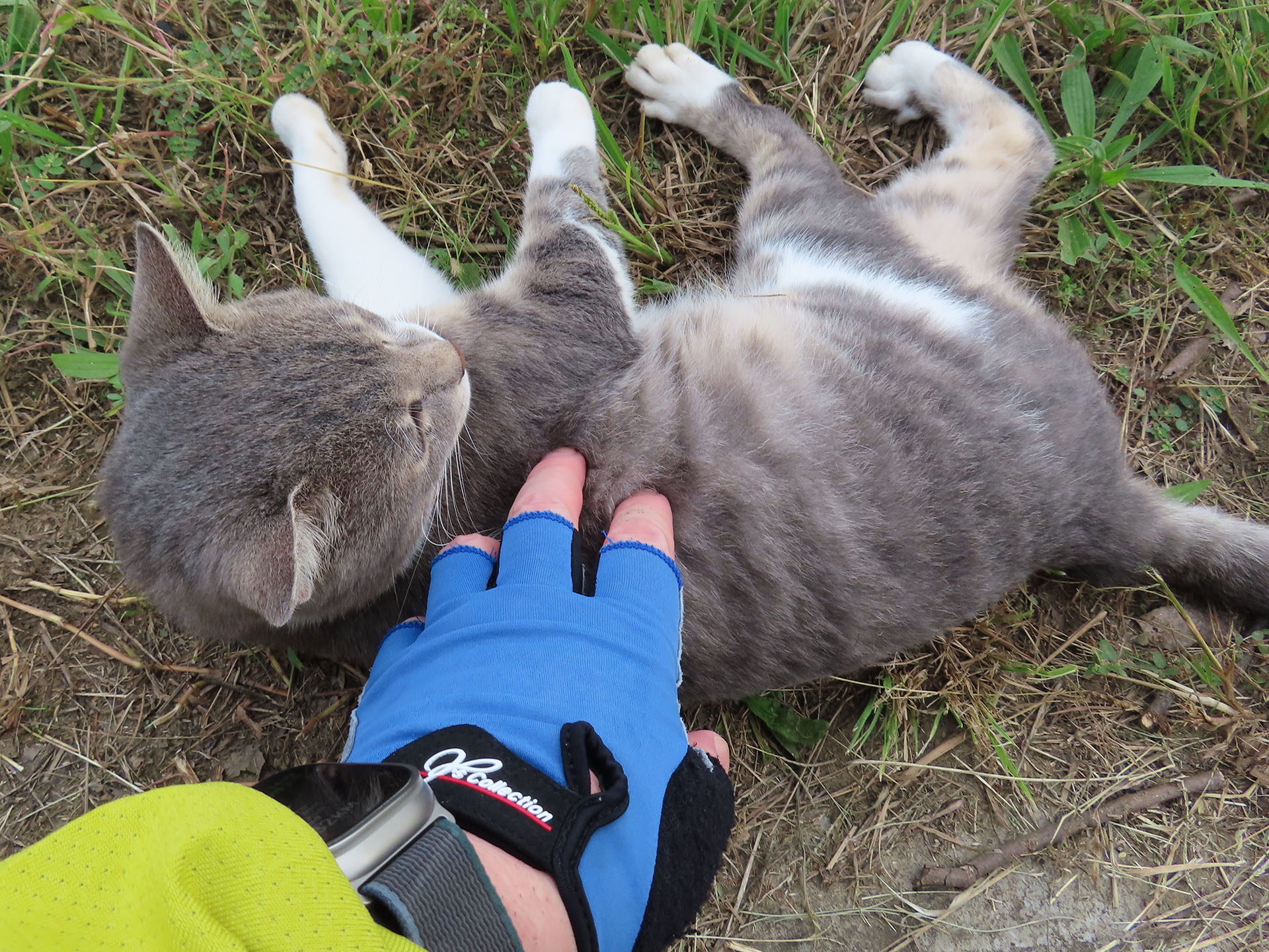 あら〜コロリと転がってくれて触らせてもくれた〜！　おやつ贈呈！