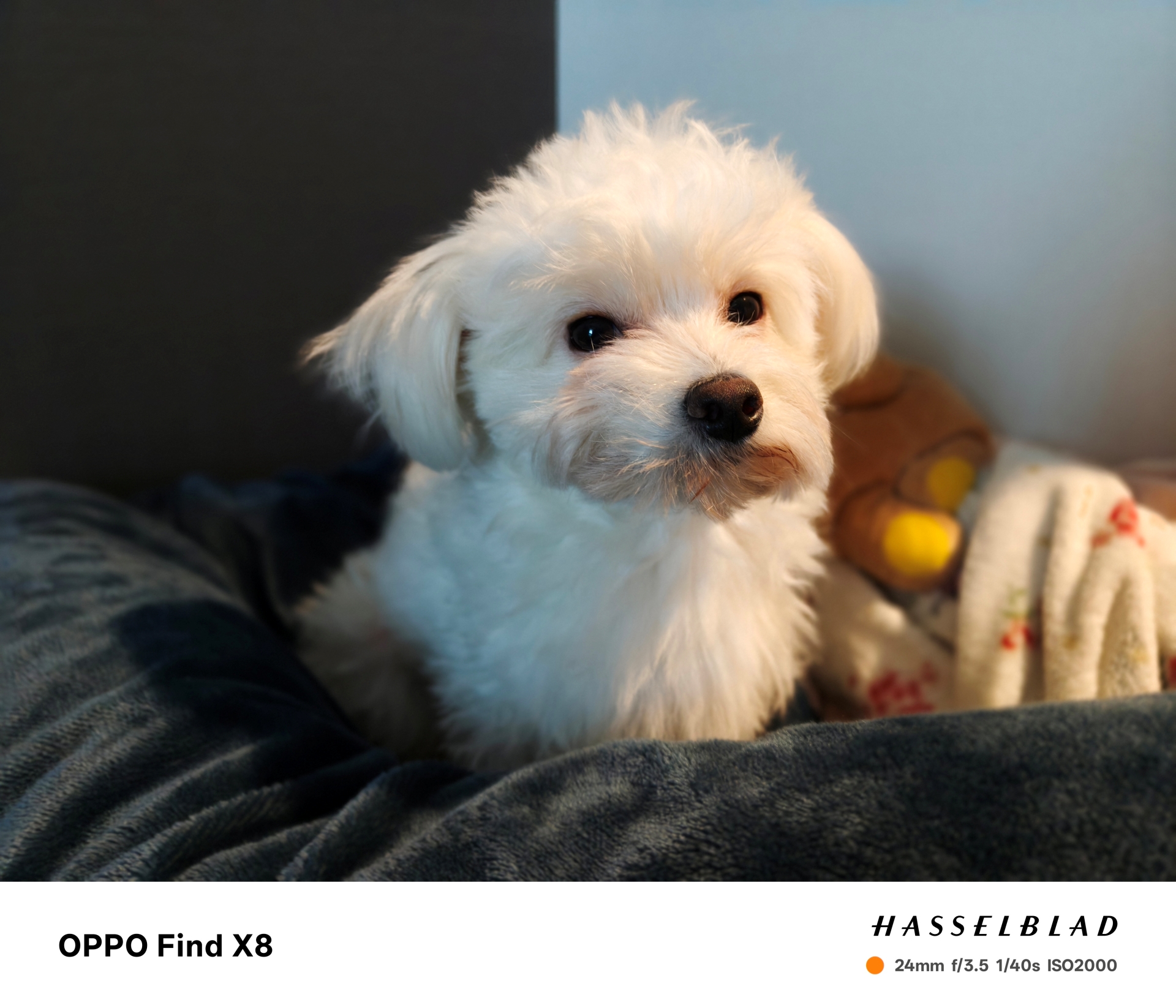 広角カメラ（ポートレート）