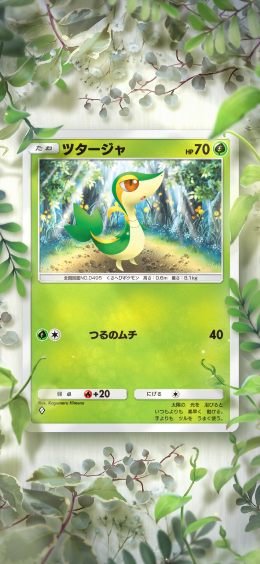 画面は開発中のもの。© 2024 Pokémon、©1995-2024 Nintendo/Creatures Inc./GAME FREAK inc.<br>©2024 DeNA Co., Ltd.ポケットモンスター・ポケモン・Pokémonは任天堂・クリーチャーズ・ゲームフリークの登録商標です