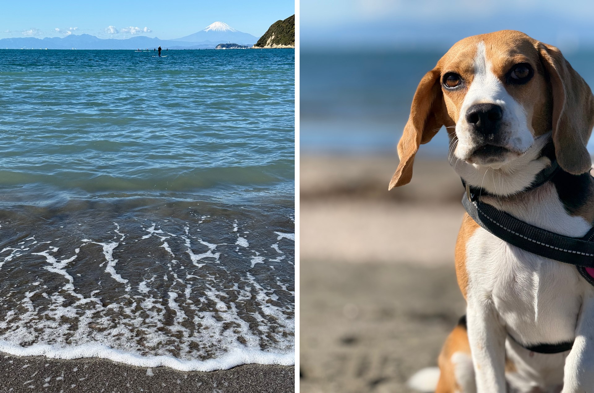 iPhone 16 Proを逆向きに持って撮影した作例