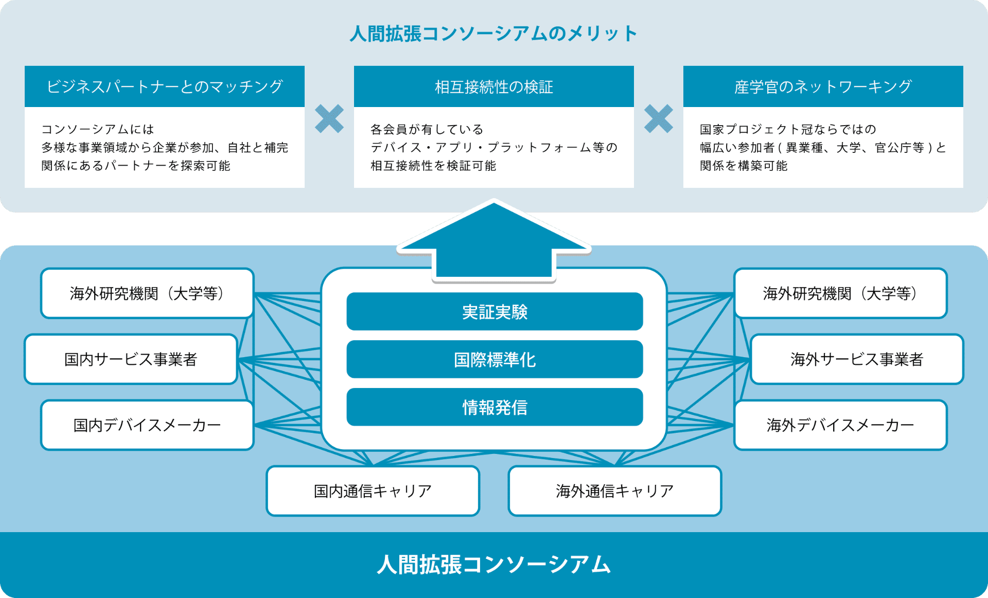 同コンソーシアムの活動内容