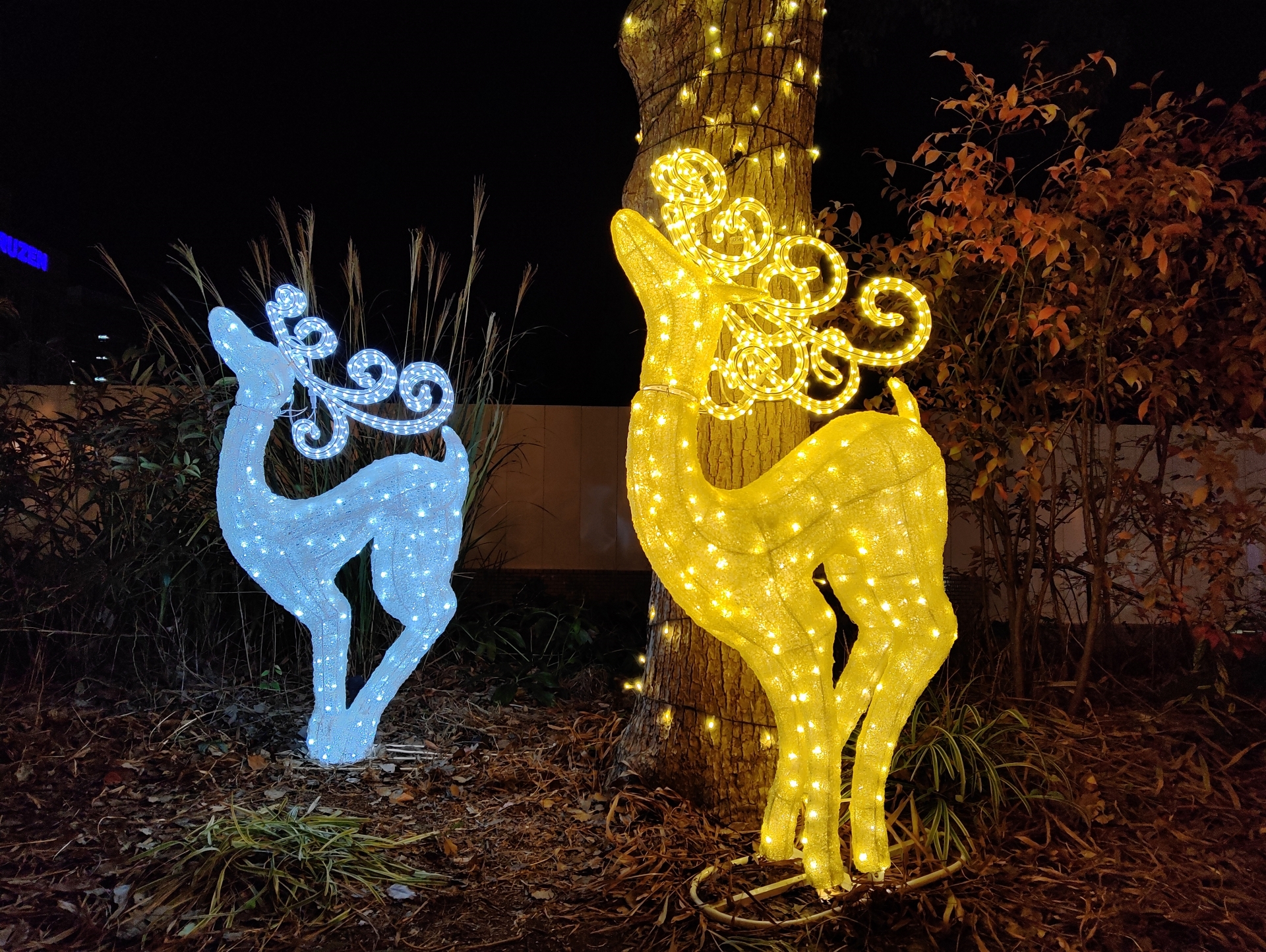 こちらはZTE Libero Flip