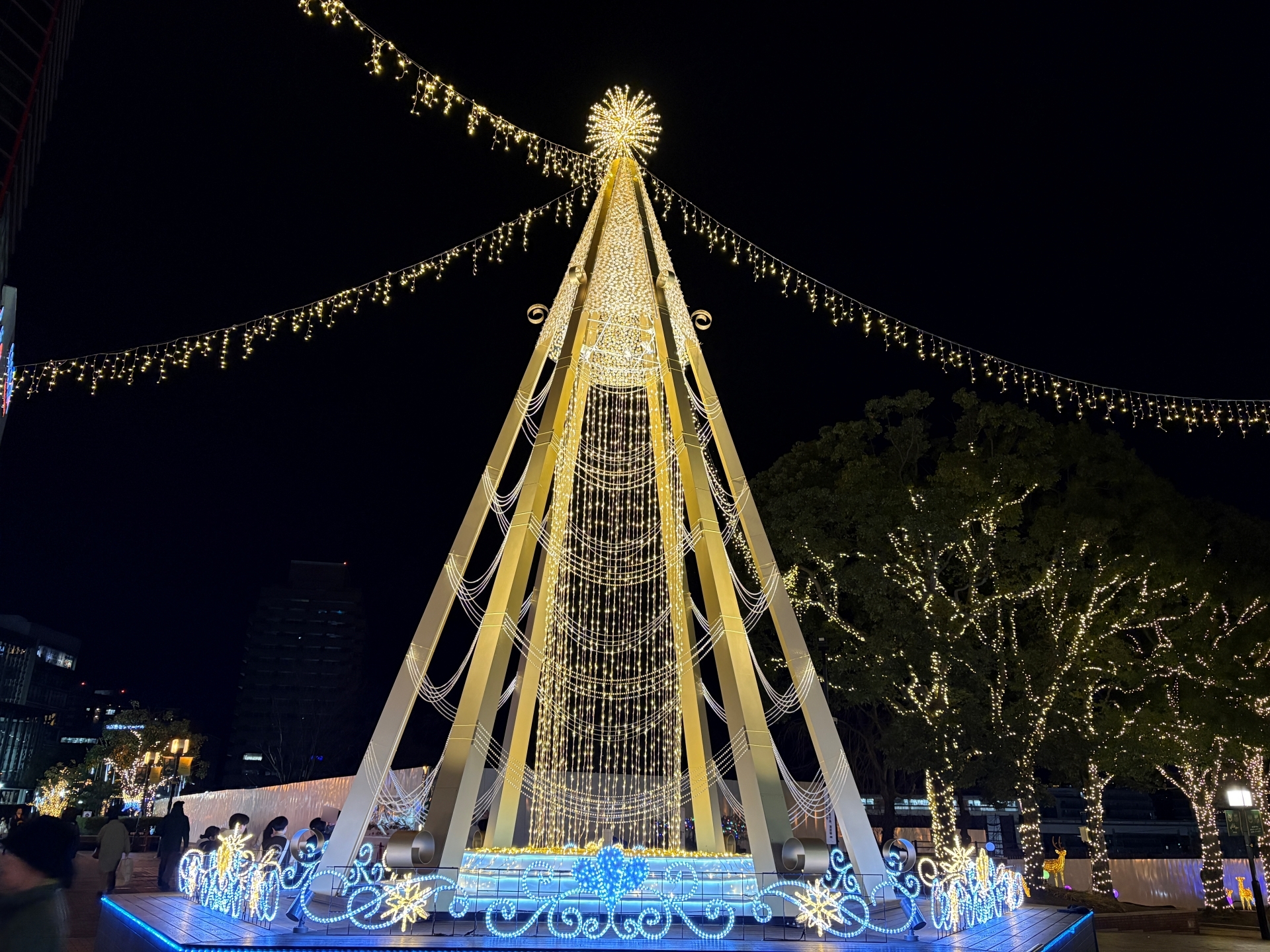 こちらは筆者の所有する中で最新のスマートフォンのiPhone 16で撮影。ツリーの基部までくっきりと写している