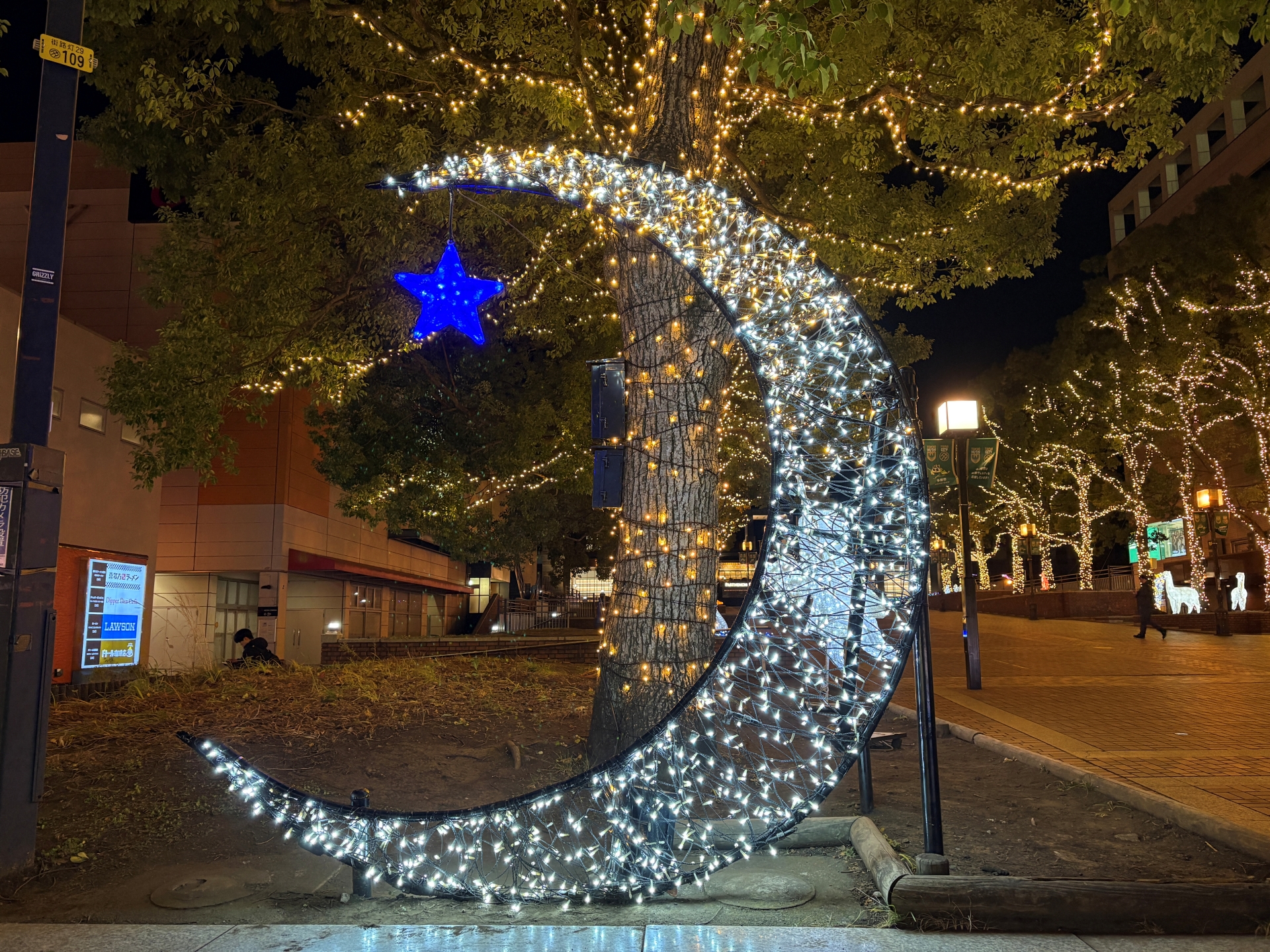 こちらはiPhone 16で撮影