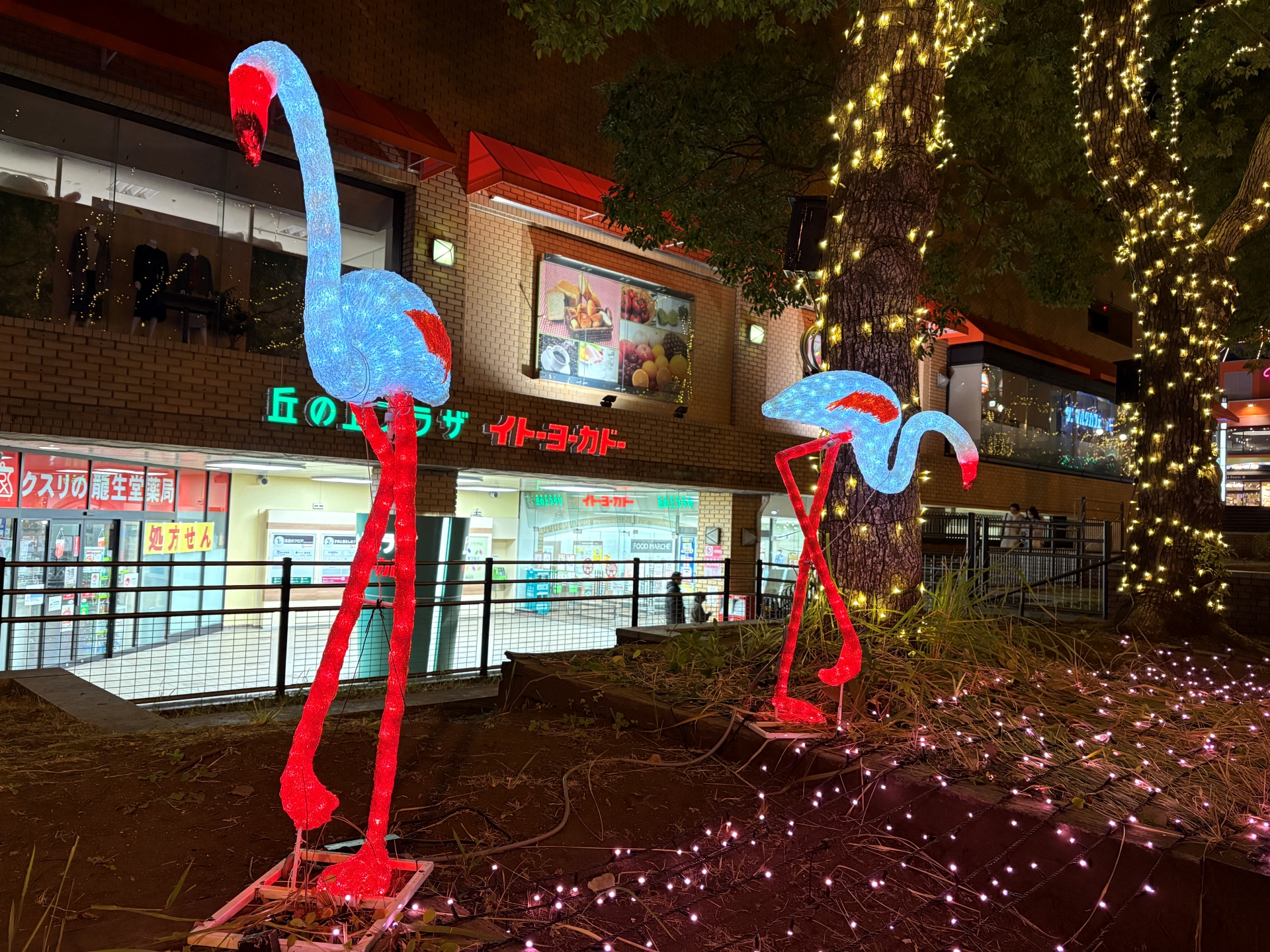 こちらはiPhone 16で撮影