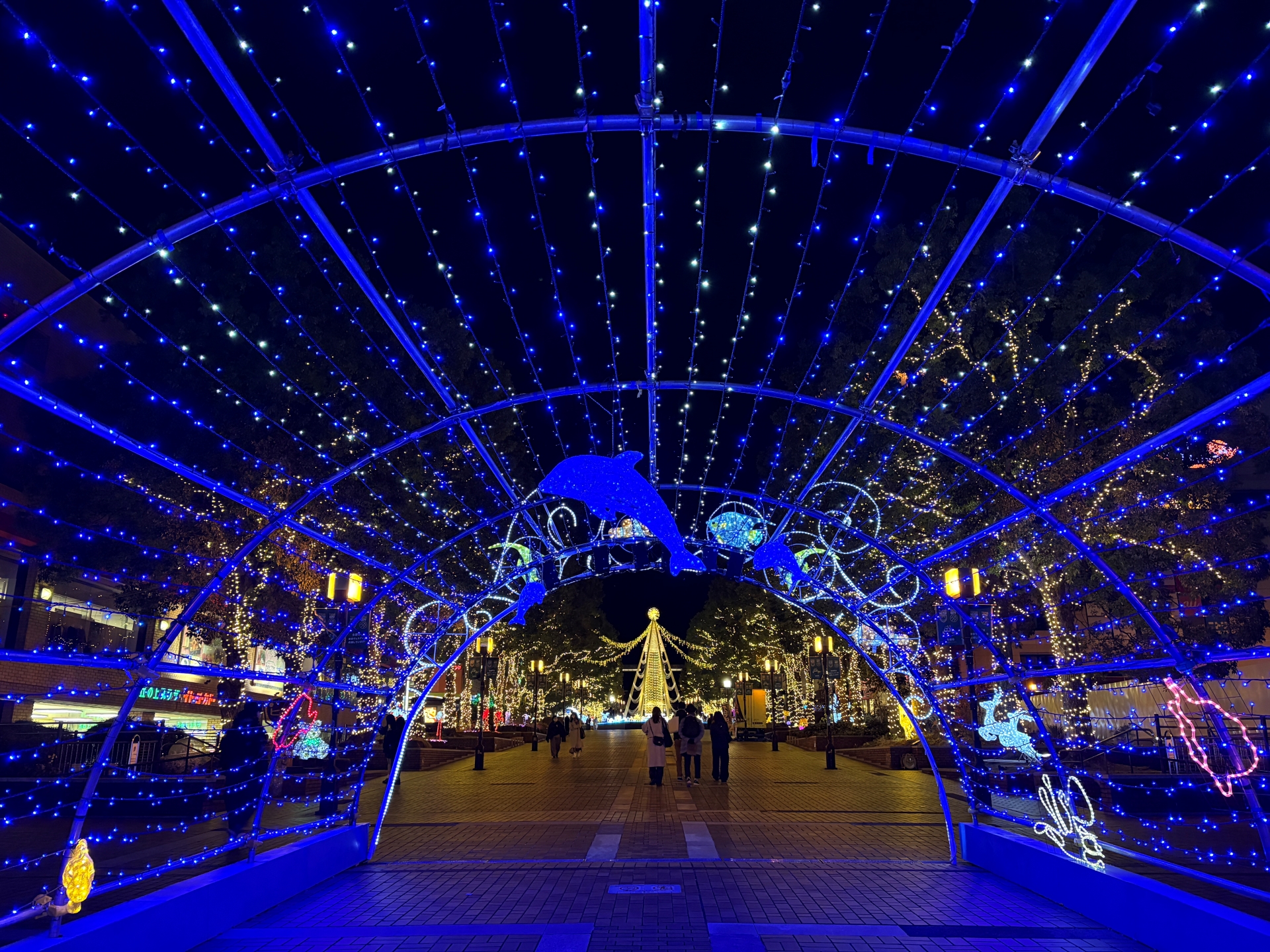 こちらはiPhone 16で撮影