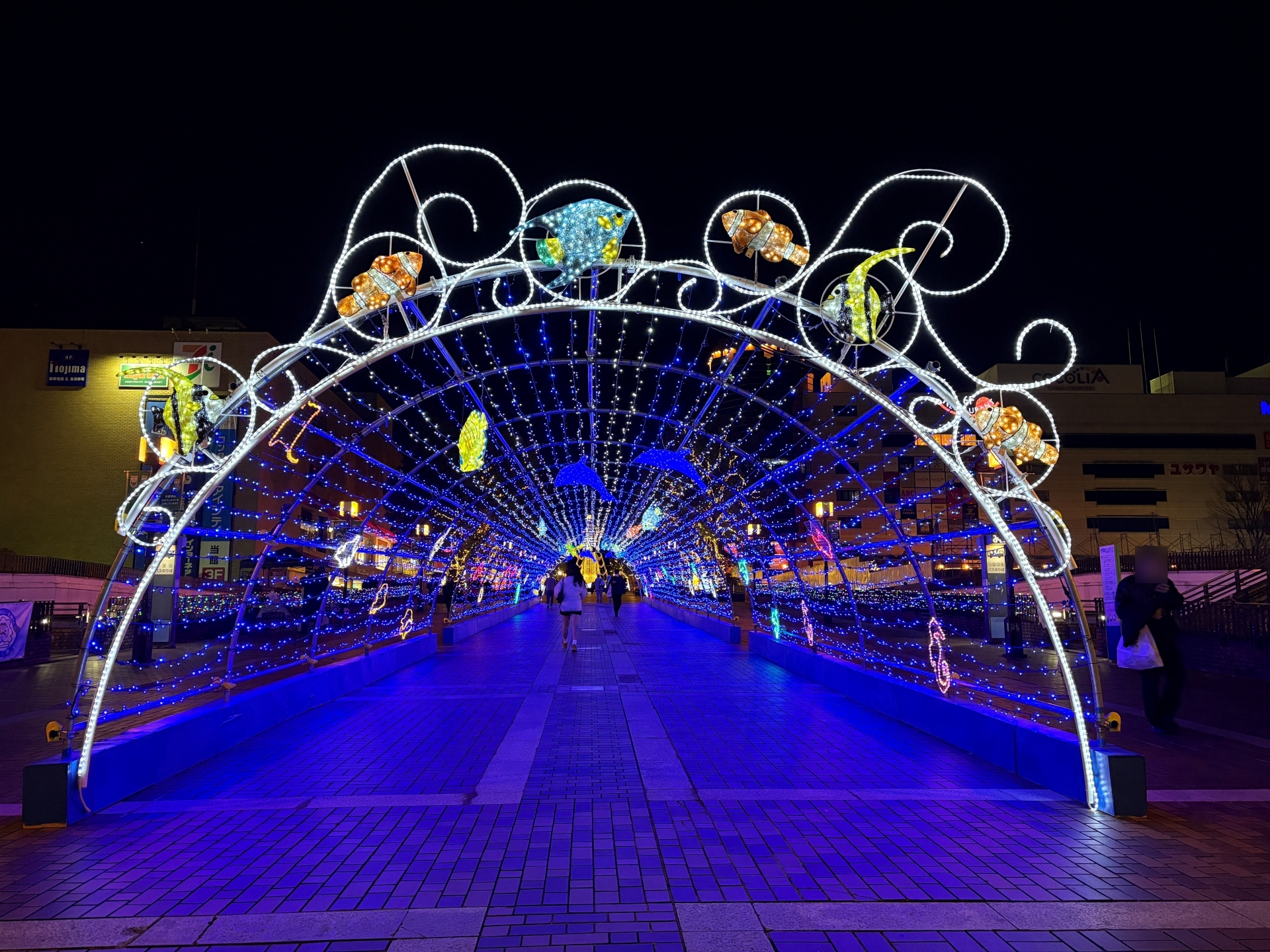 こちらはiPhone 16で撮影