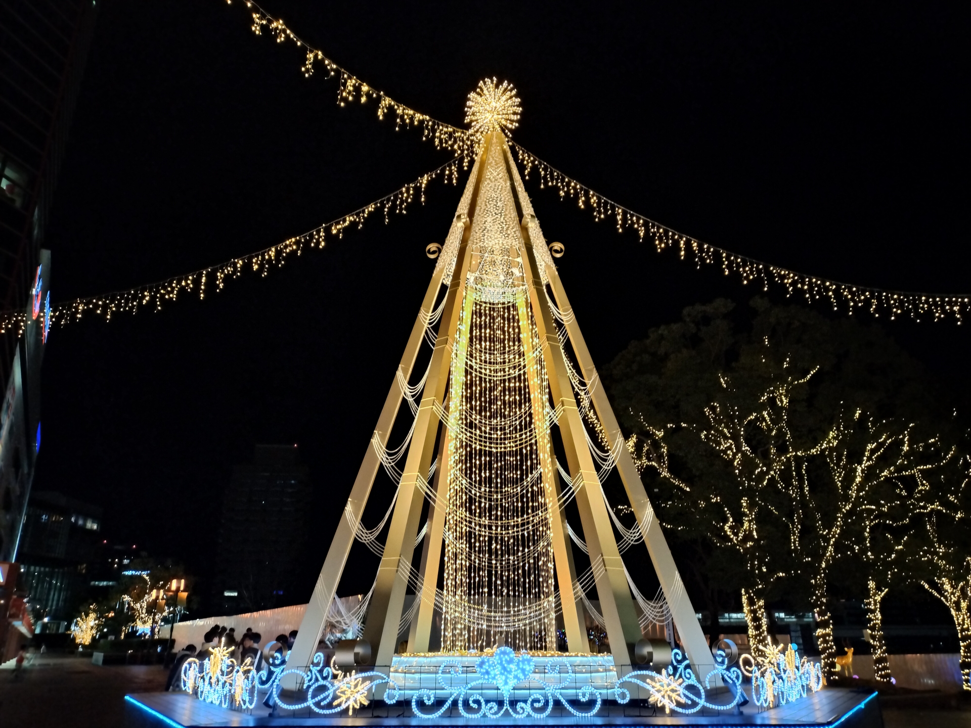 こちらはOPPO Reno9 Aで撮影。金色に輝くツリーの色合いが濃く現れている