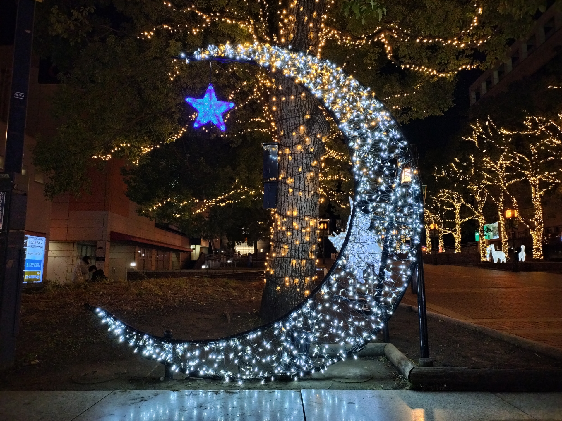 こちらはOPPO Reno9 Aで撮影