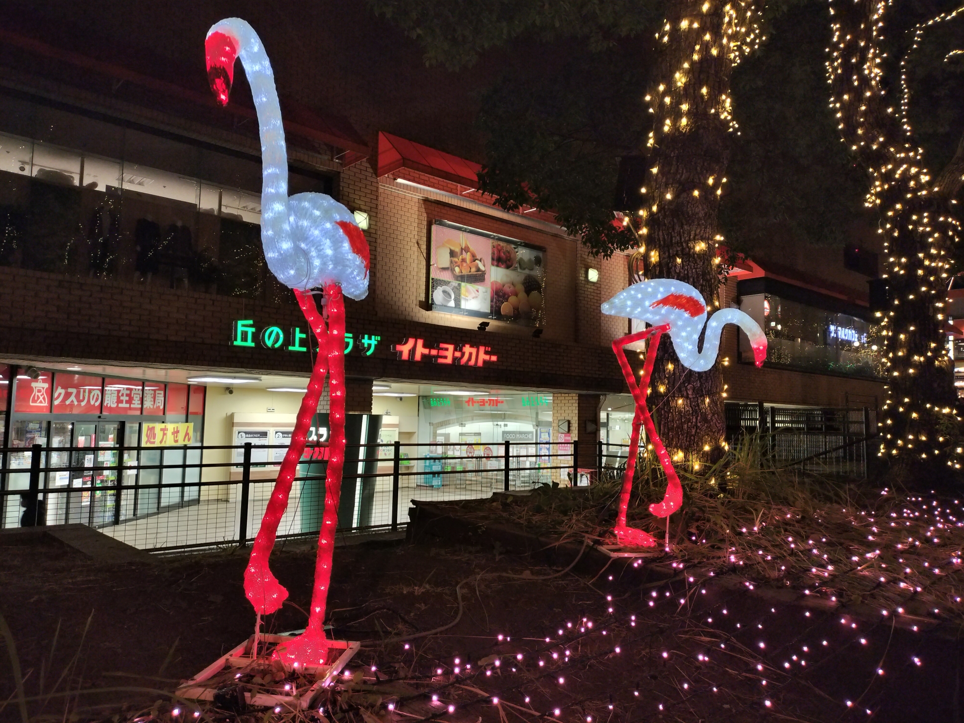 こちらはOPPO Reno9 Aで撮影