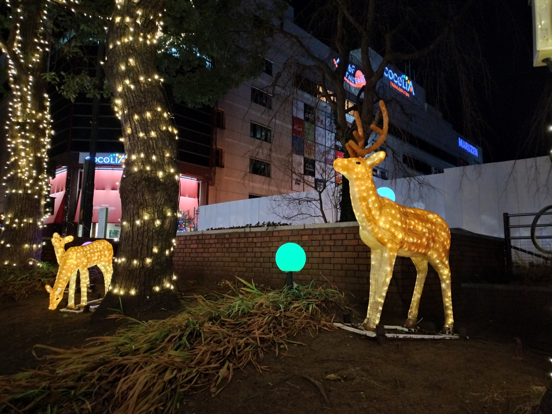 こちらはOPPO Reno9 Aで撮影