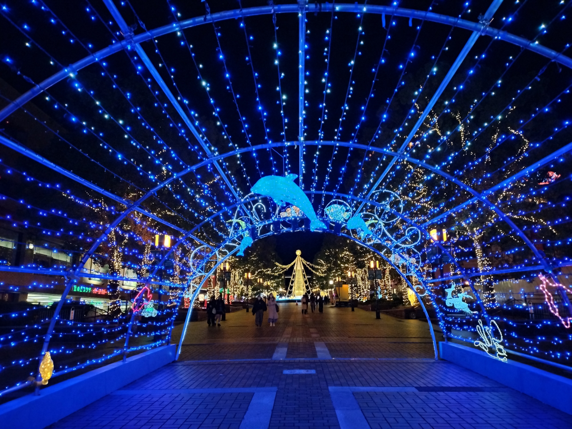 こちらはOPPO Reno9 Aで撮影