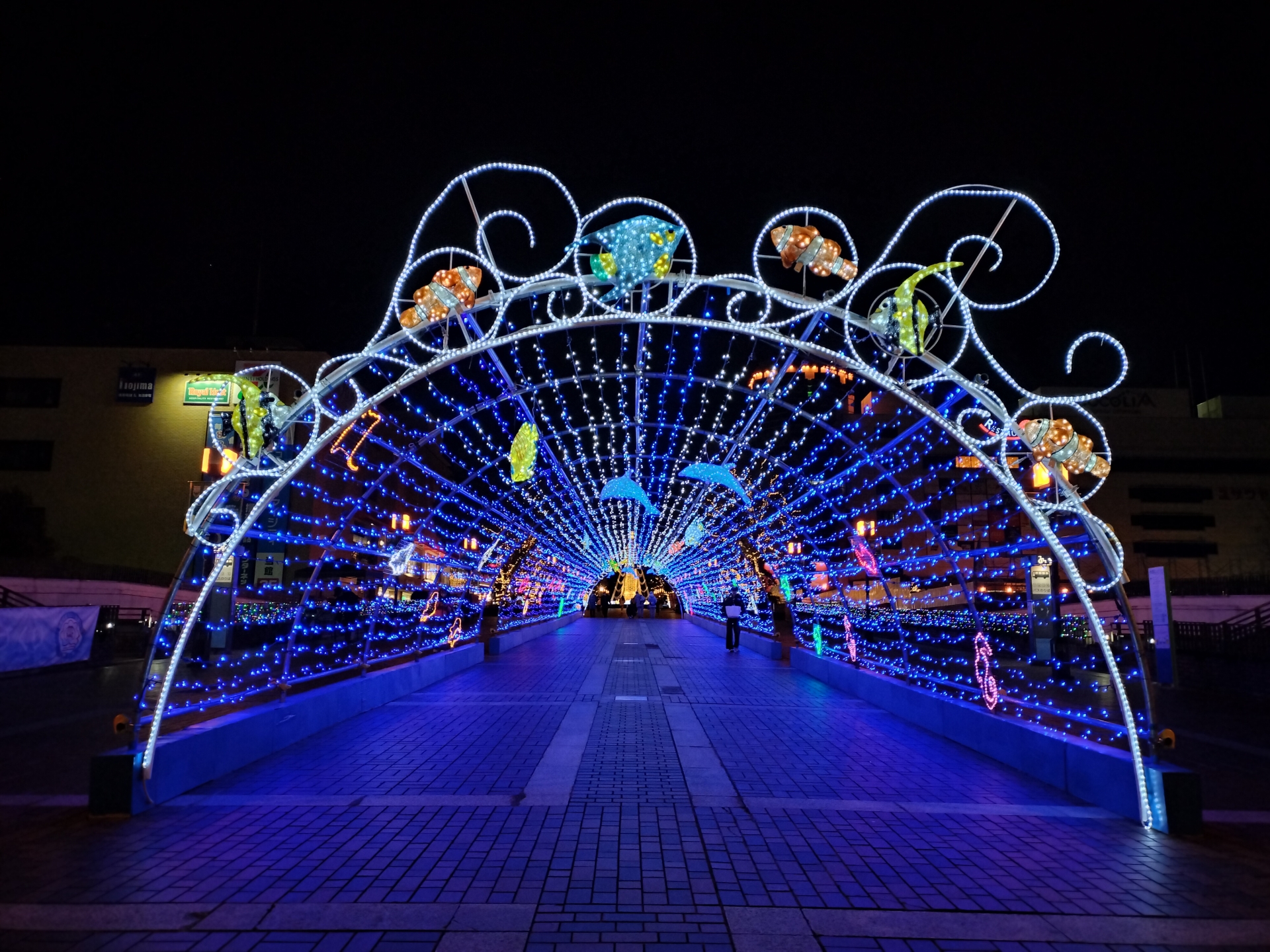 こちらはOPPO Reno9 Aで撮影