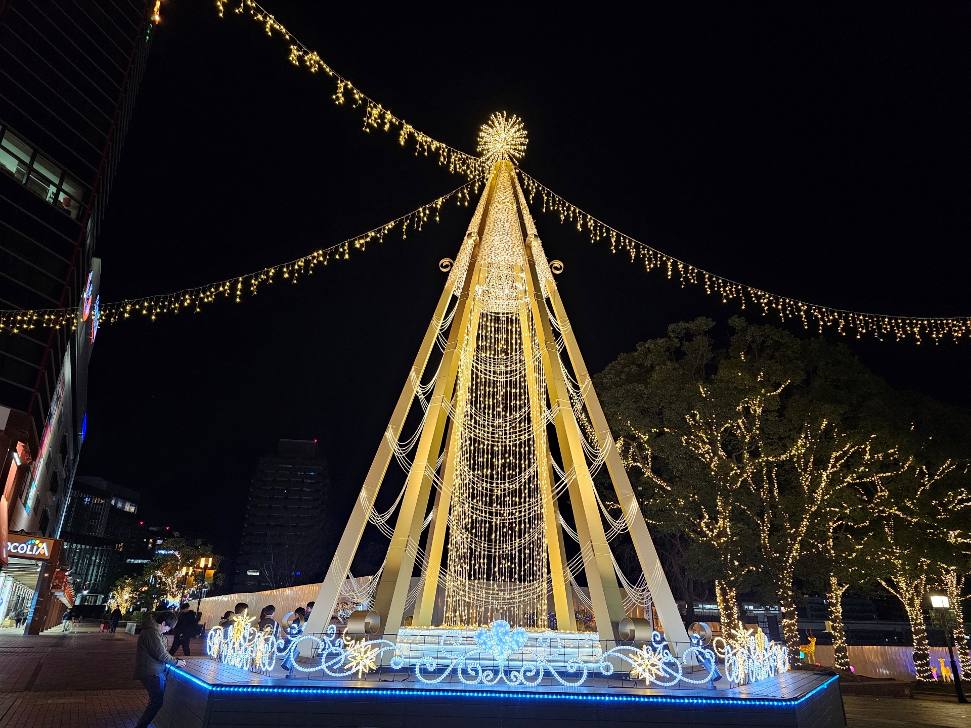 こちらはGalaxy S23 Ultra。今回撮影した中で最も明るく取れており、ツリーの輝きを捉えている