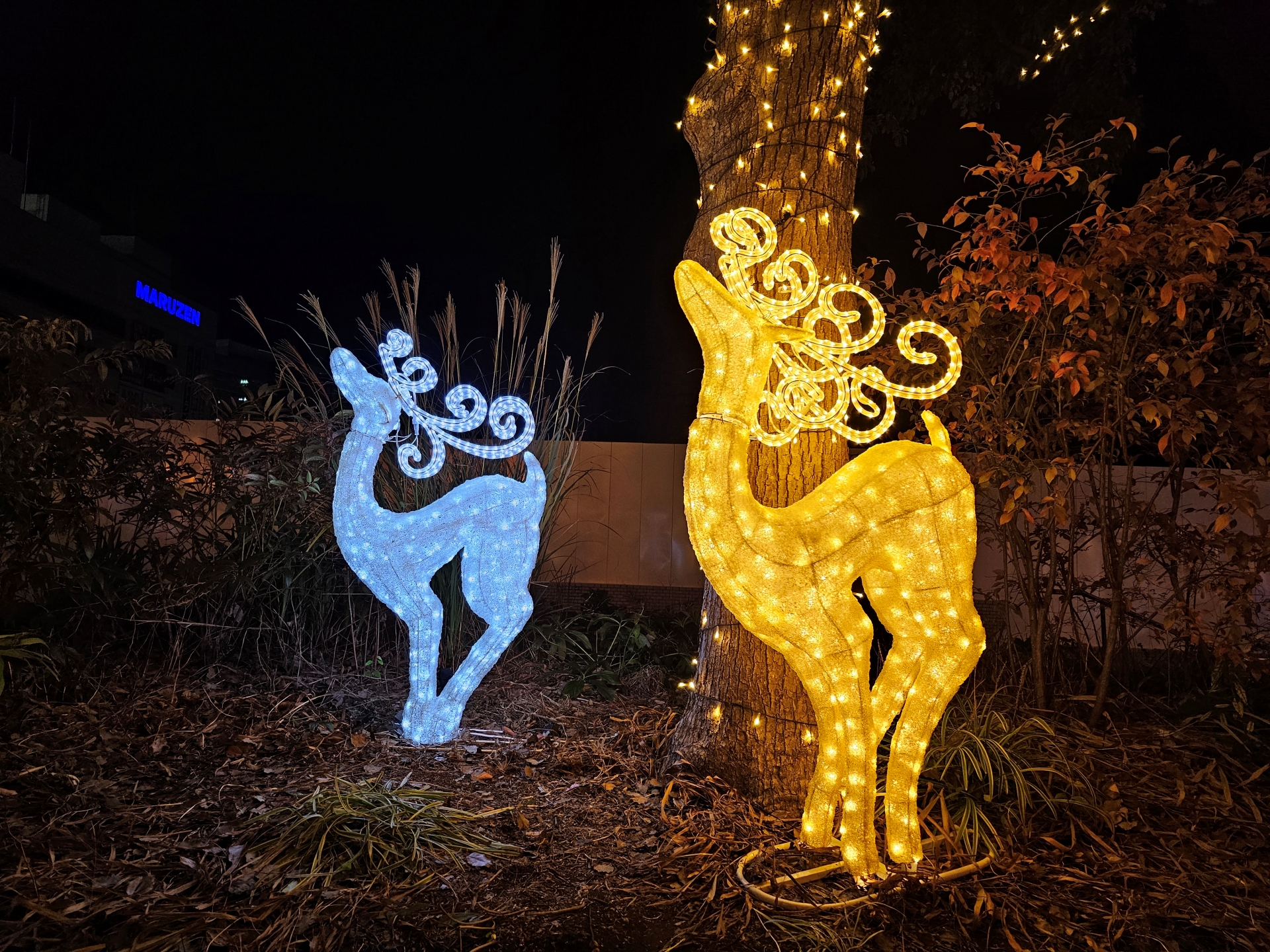 こちらはGalaxy S23 Ultra