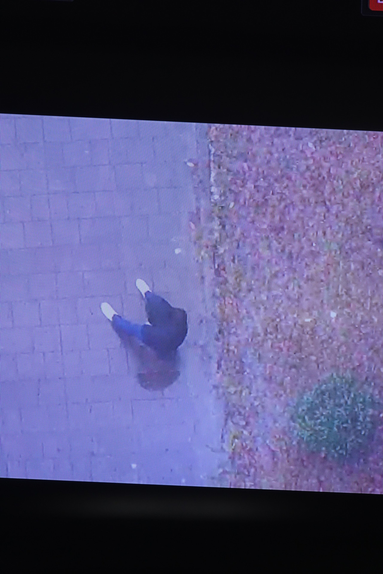 中央＝中央付近に人と見られる反応。右＝通常のカメラで人を確認