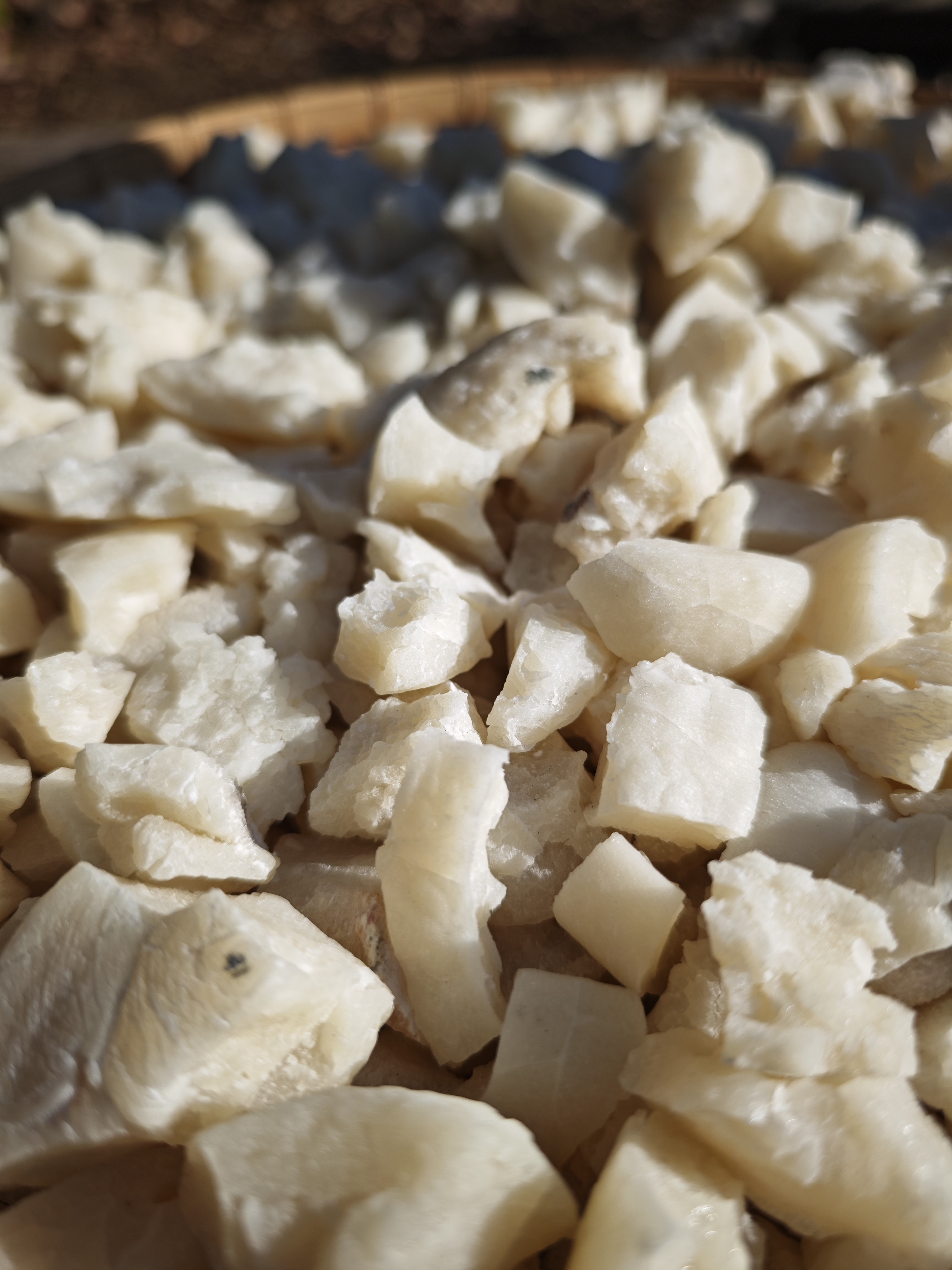 後ボケの量と描写の違いに注目したい。