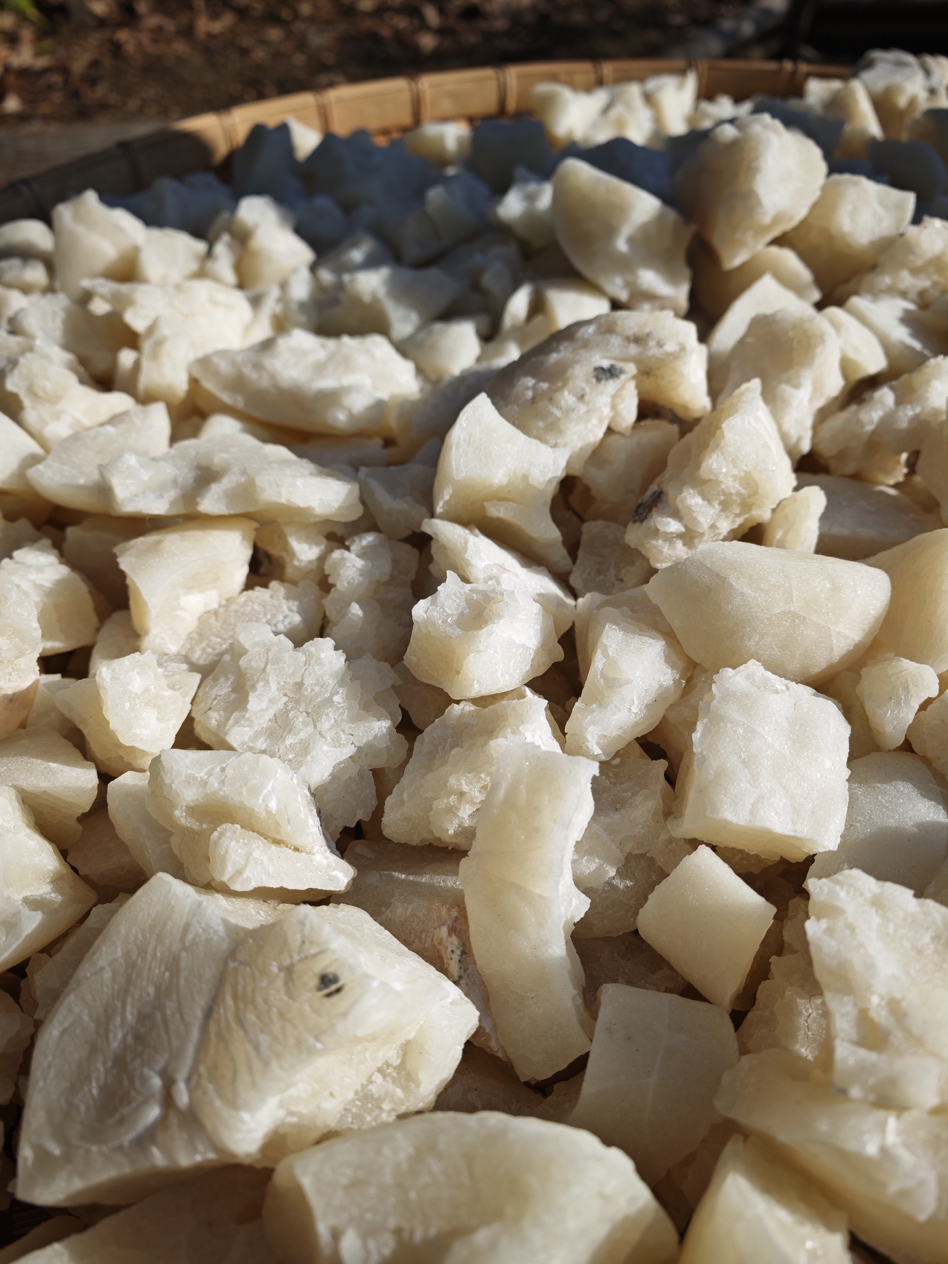 後ボケの量と描写の違いに注目したい。