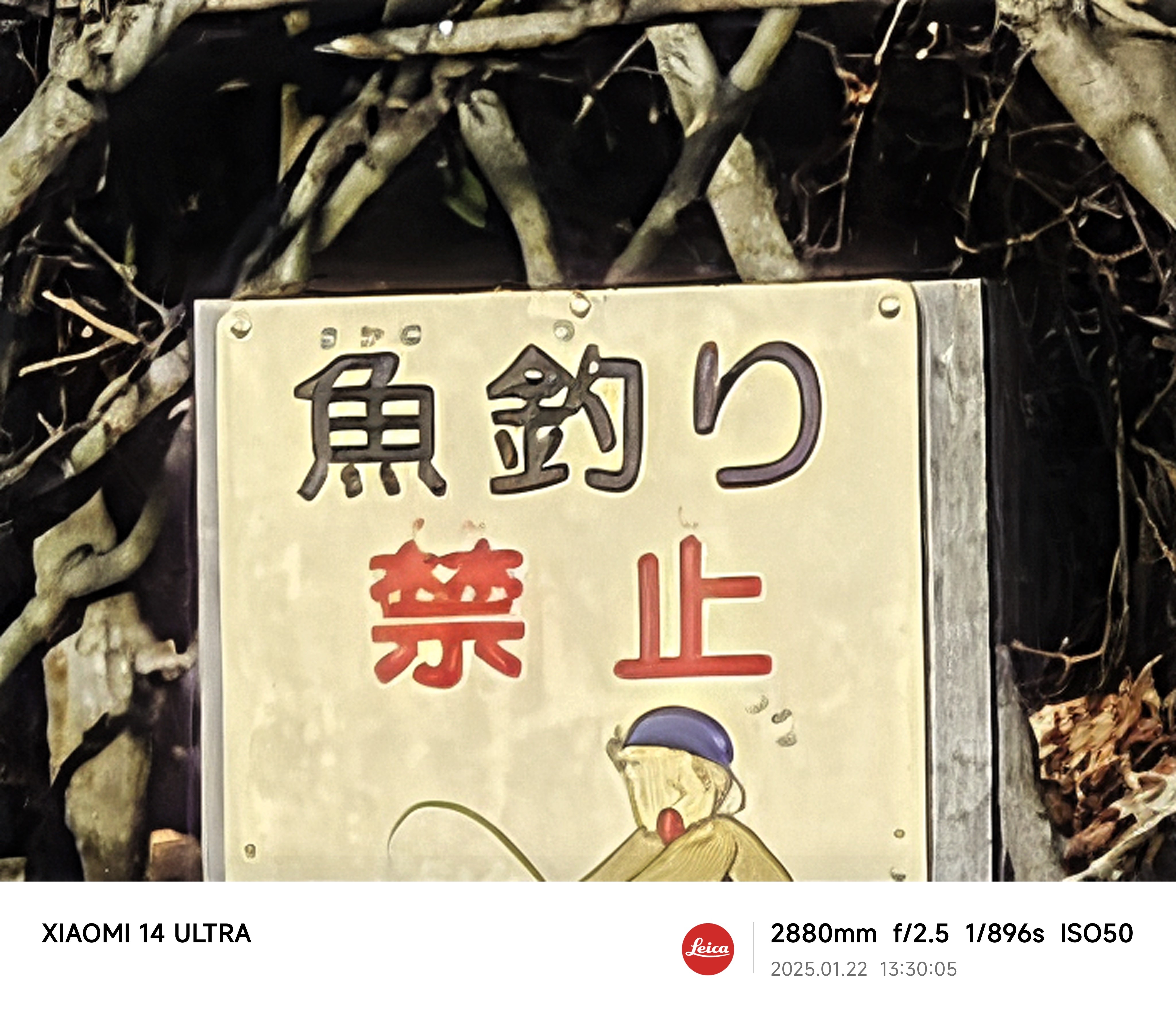 最大までズームインすると塗り絵的な写りだが、ここまでアップで撮れるのがスゴい