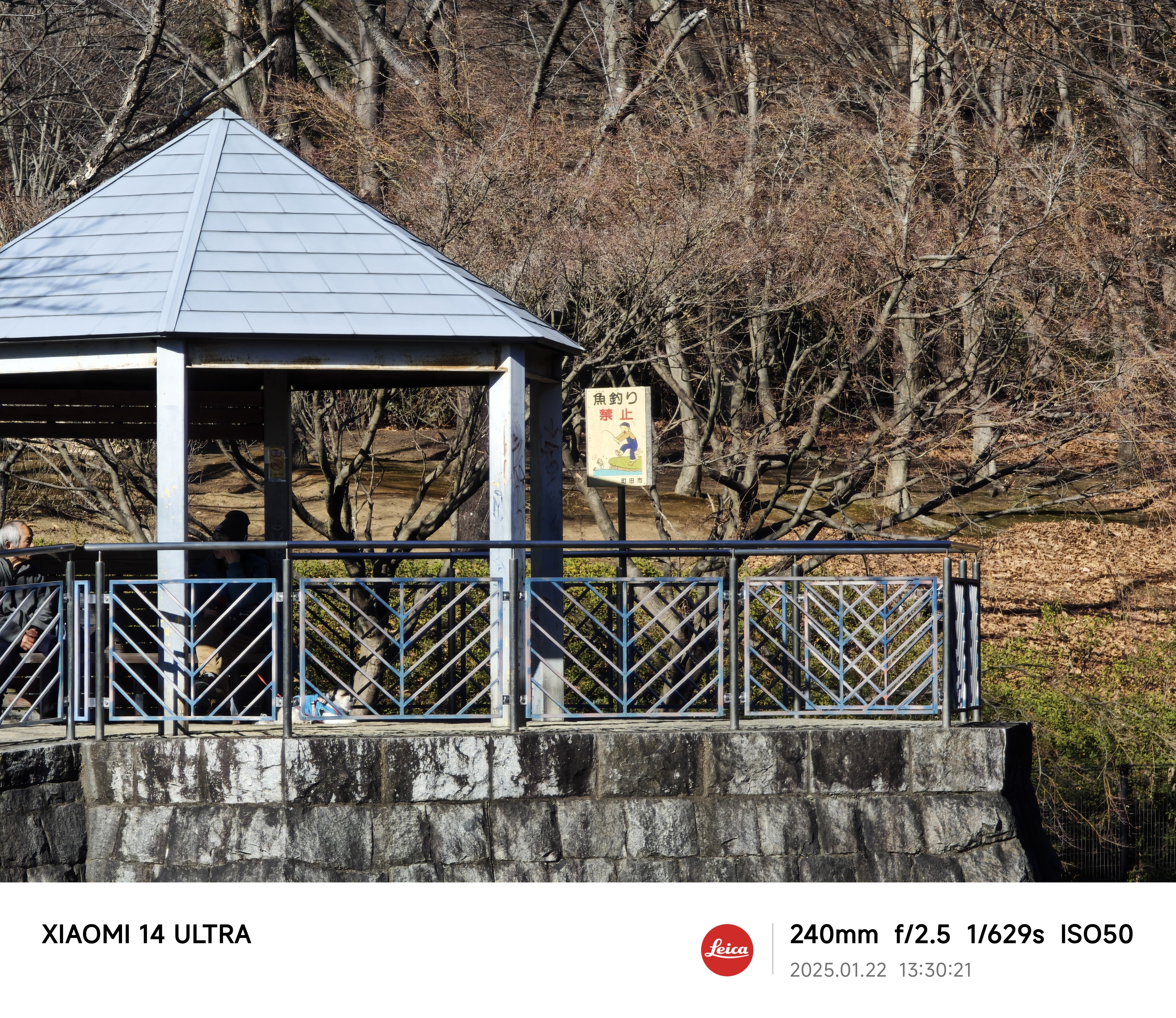 最大までズームインすると塗り絵的な写りだが、ここまでアップで撮れるのがスゴい