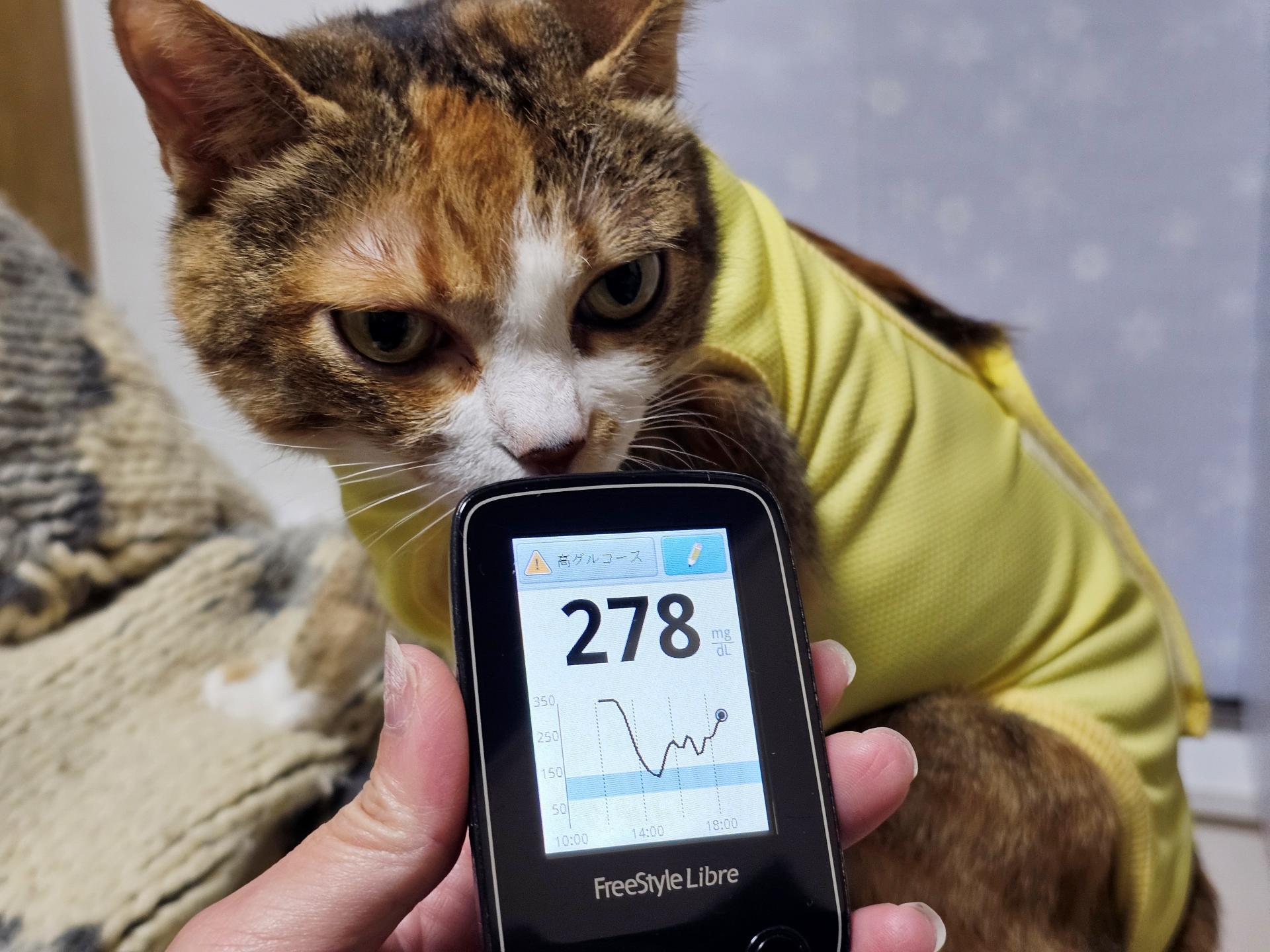 専用リーダーをかざして数値を確認する。コンパクトなので猫に気づかれにくいのだが、頻発するスキャンエラーで何度もかざすと、「ニャにやってるんだ」といやがられてしまう