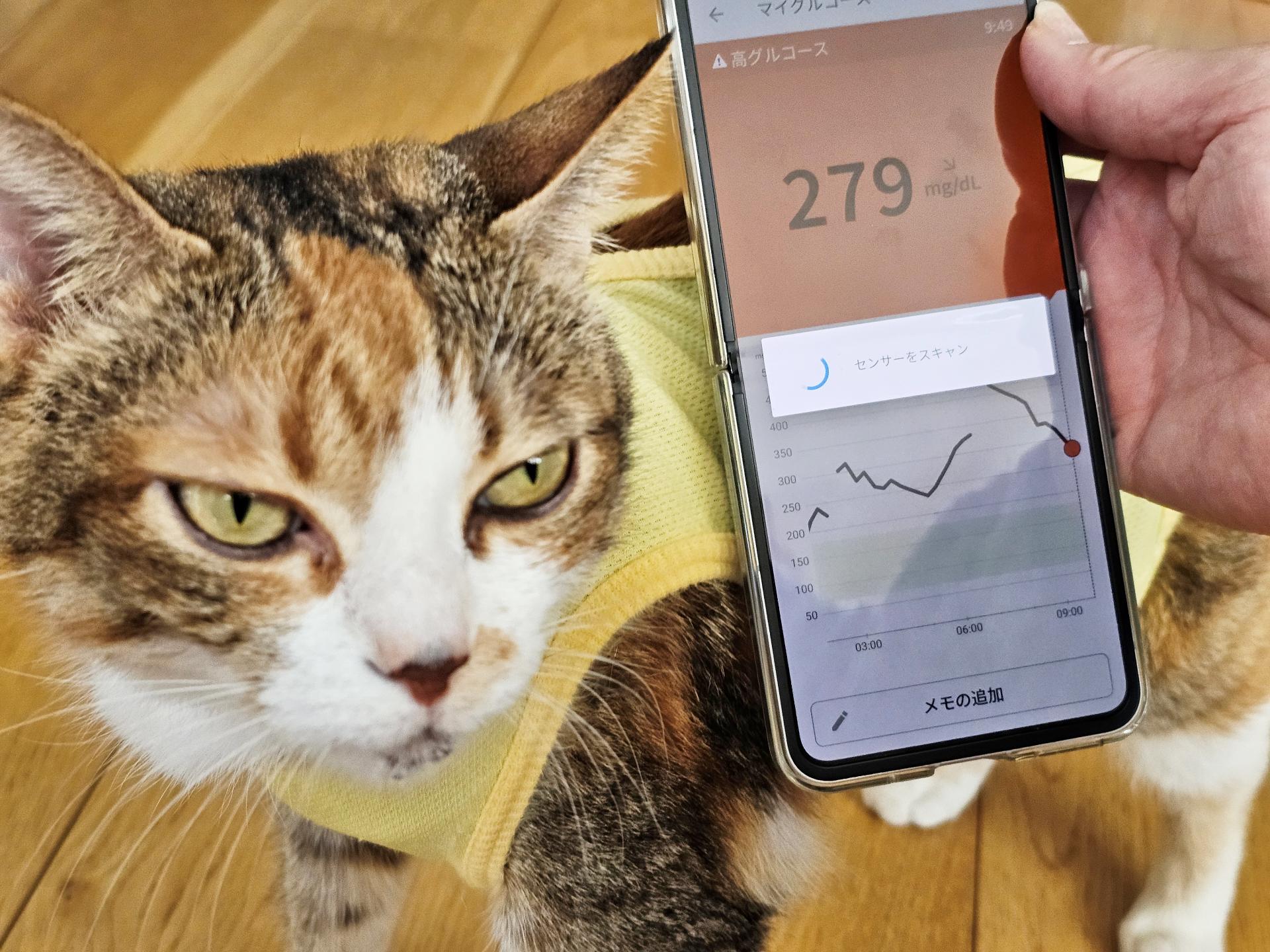 ほぼエラーなくスキャン完了。見やすいし、その他の画面に遷移するためのタッチしやすいのも良い