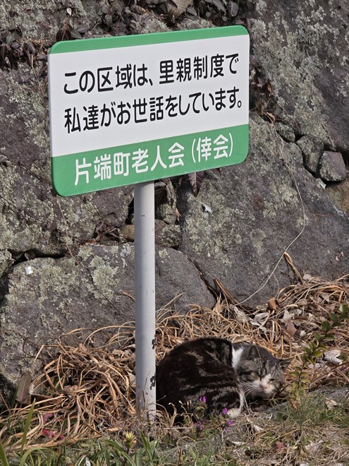 電源ボタンのダブルクリックで立ち上がるカメラは使いやすい。レスポンスもまずまずで視線を遠くにしてブラブラと歩いていれば、きっと多くのシャッターチャンスをものにできるだろう