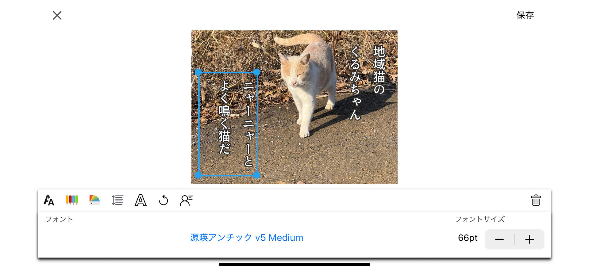 こちらは文字入れくんアプリを使っている様子。写真アプリから写真を読み出して、そこに文字を入れられる。縦組みでも横組みでもOKで、フォントサイズや色も自由に変更可能。文字入れくんアプリにも多彩なフォントが含まれているので、アンチゴチ体を使わないなら前出のFontInstall.appを使う必要はないだろう。