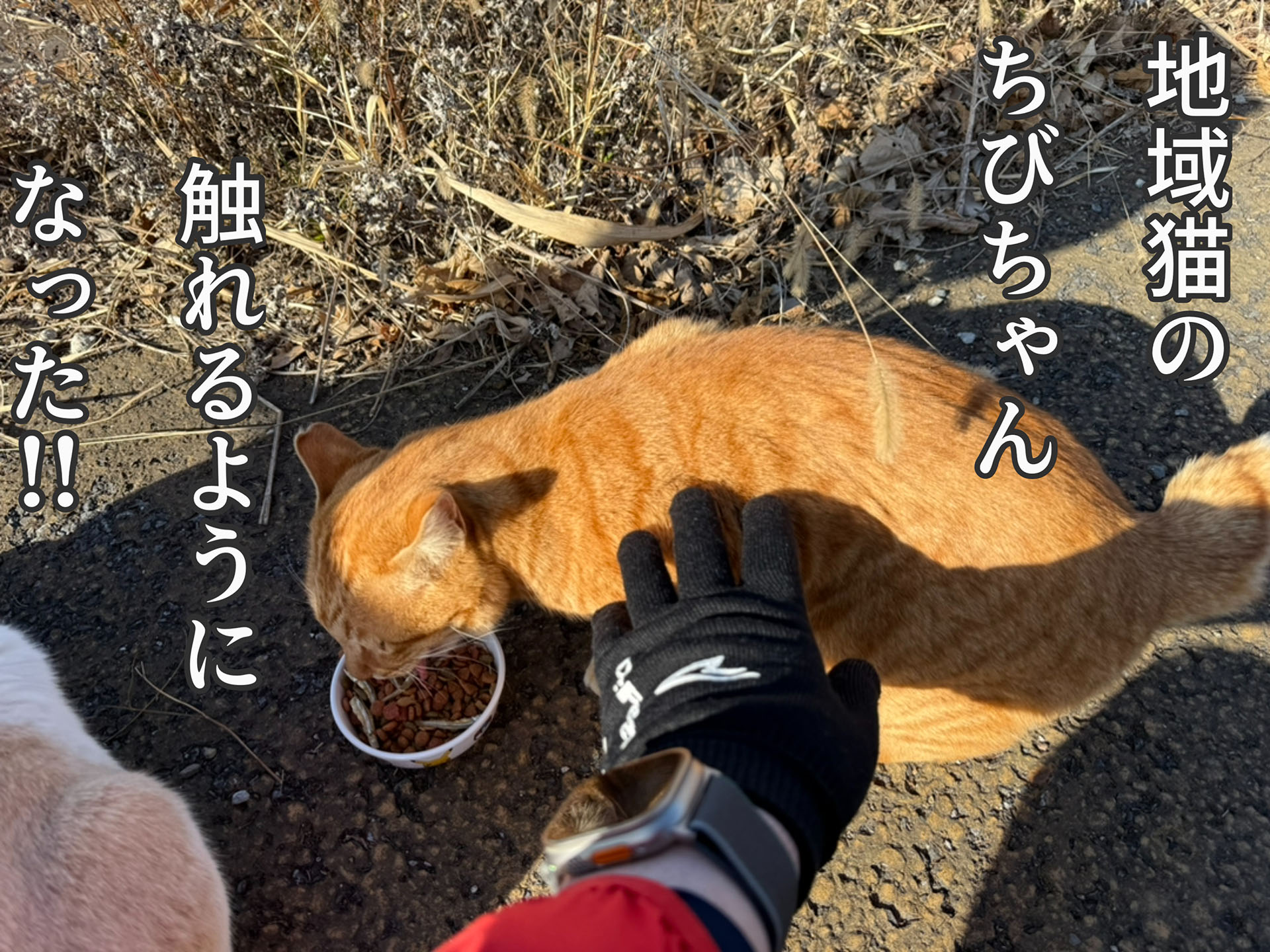 iPhone内の写真だけで……マンガみたいなコンテンツが作れるかも！