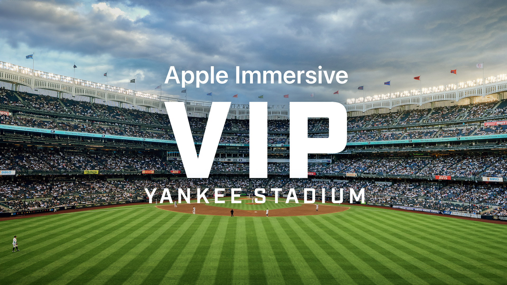 VIP: Yankee Stadium