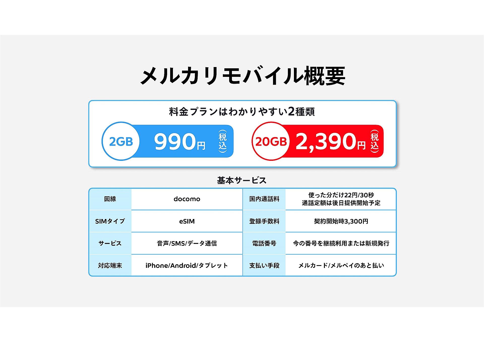 料金プランはたったの2つ。2GBか20GBから選べばいいだけで、シンプルすぎるほどシンプルだ