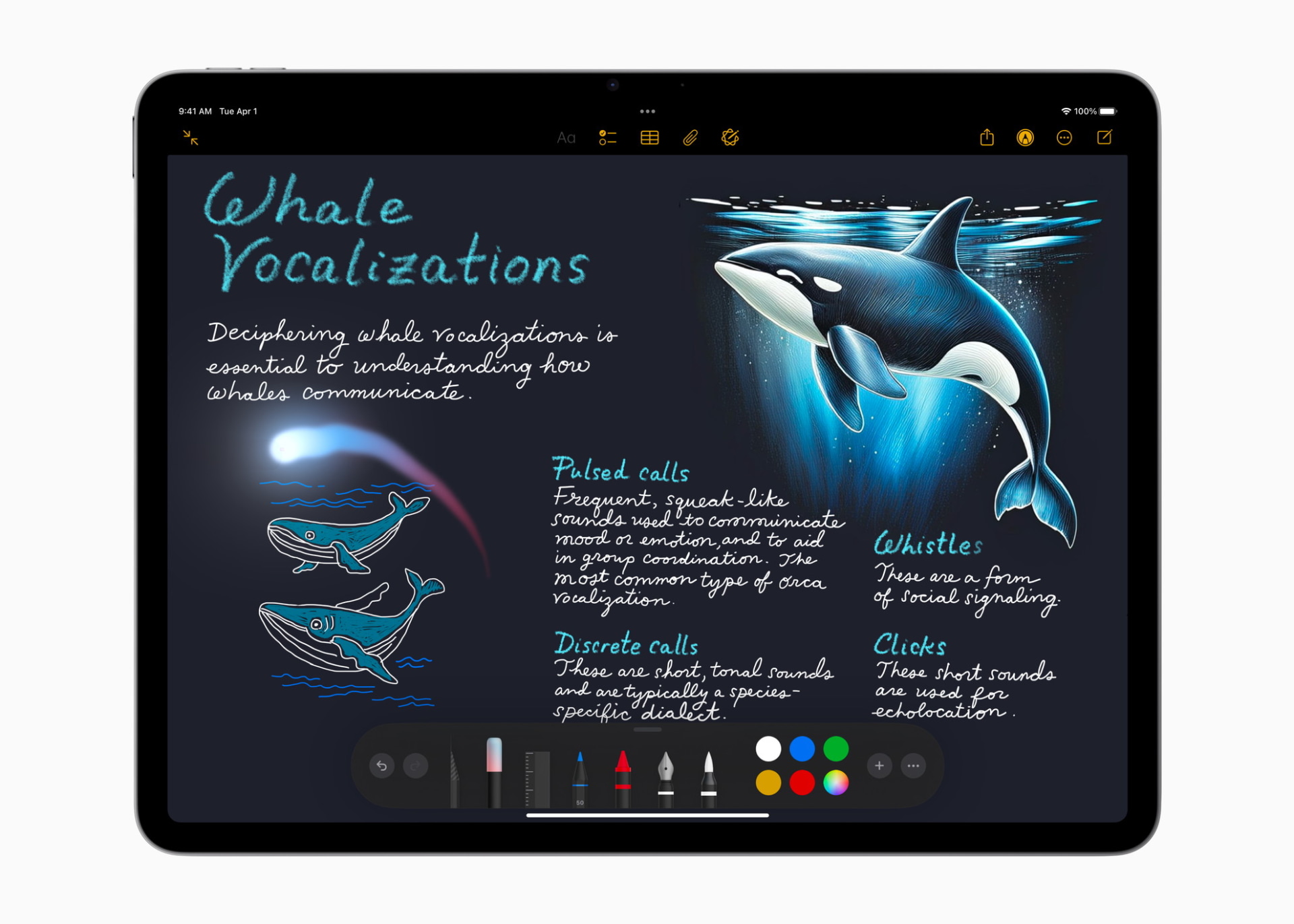 Apple Pencilでノートを取ったり絵を描いたりすることが多ければ、大画面の13インチモデルの方が便利だろう