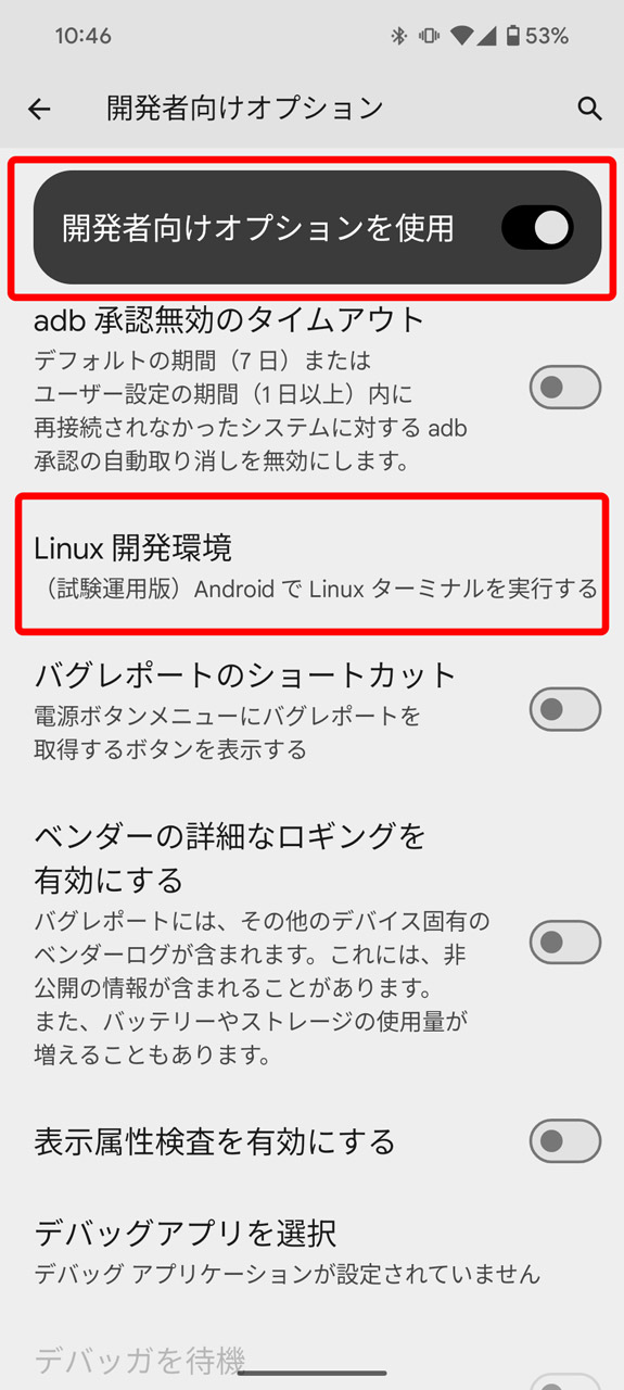 「開発者向けオプションを使用」をオンにし、「Linux開発環境」をタップ
