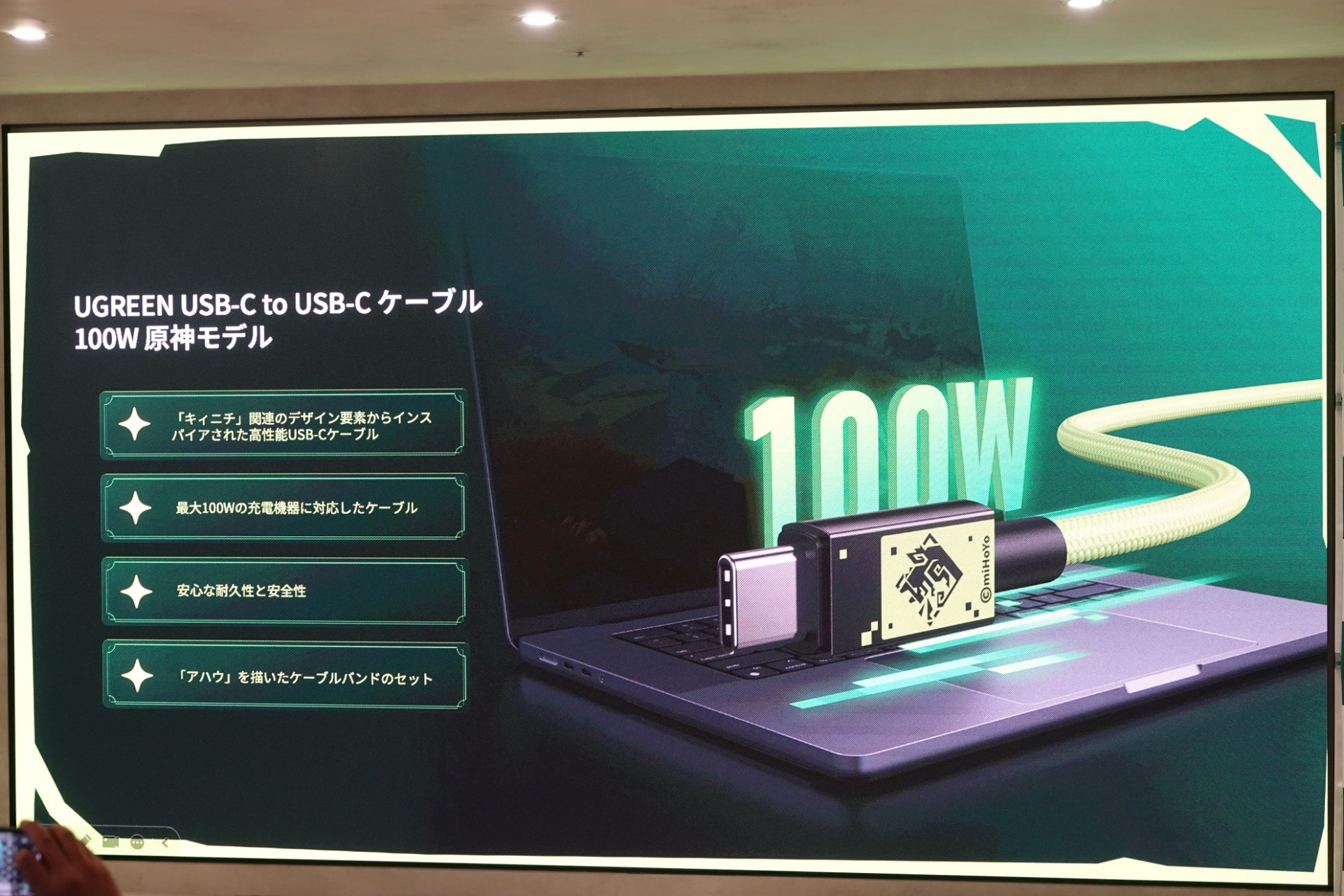 UGREEN USB-C to USB-C ケーブル 100W 原神モデル