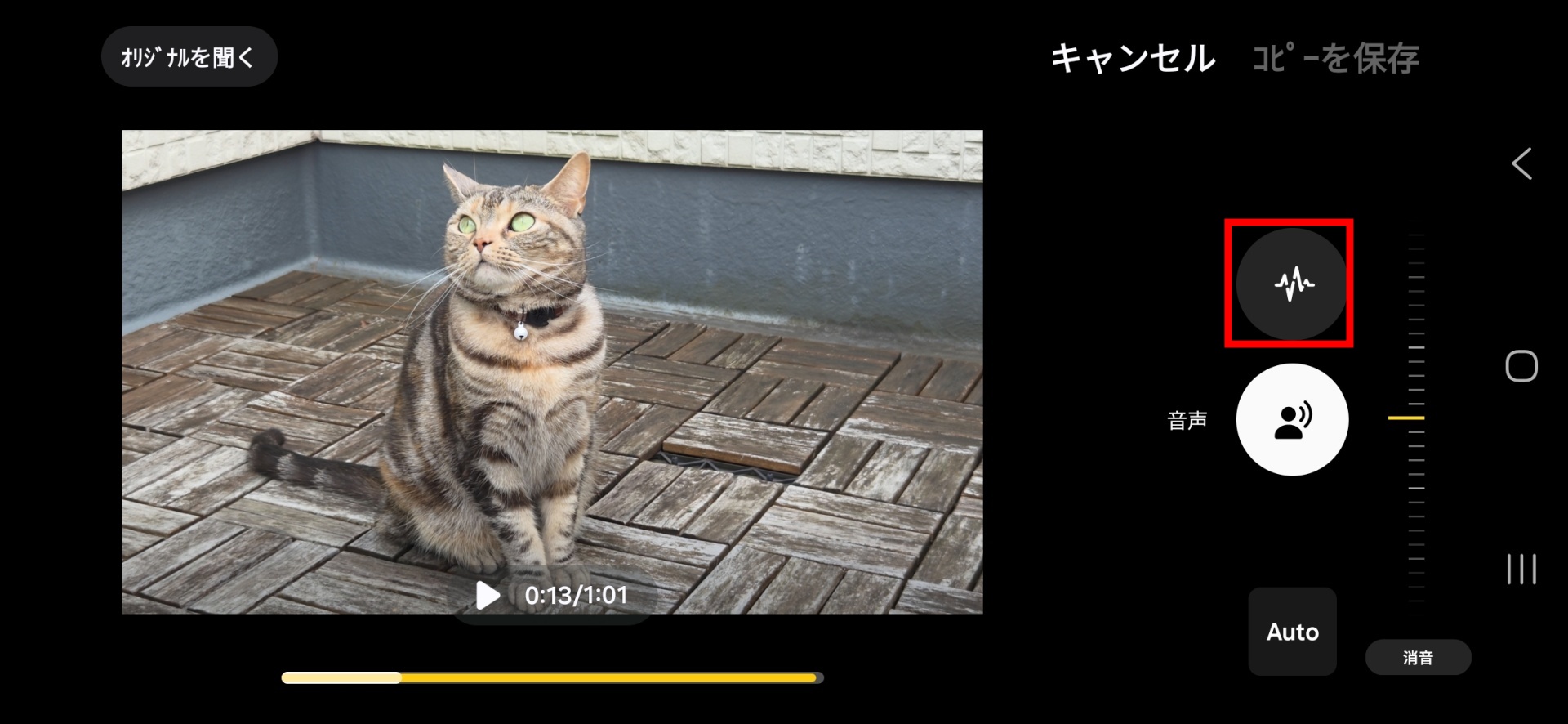 今回調整できるのは、ノイズと音声のみ。風切り音が入っている場合は、風のようなボタンも表示される