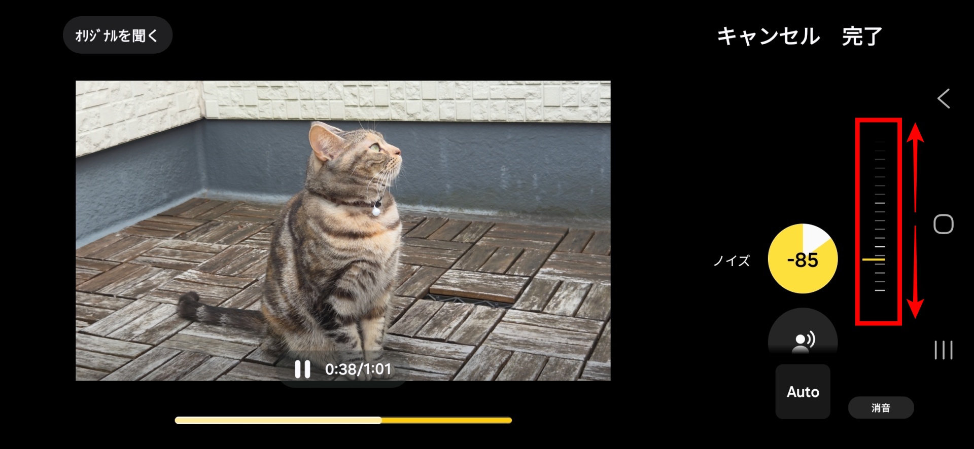ノイズをタップして調整する。100%削除すると、音声そのものも聞き取りづらくなることがあるので注意したい