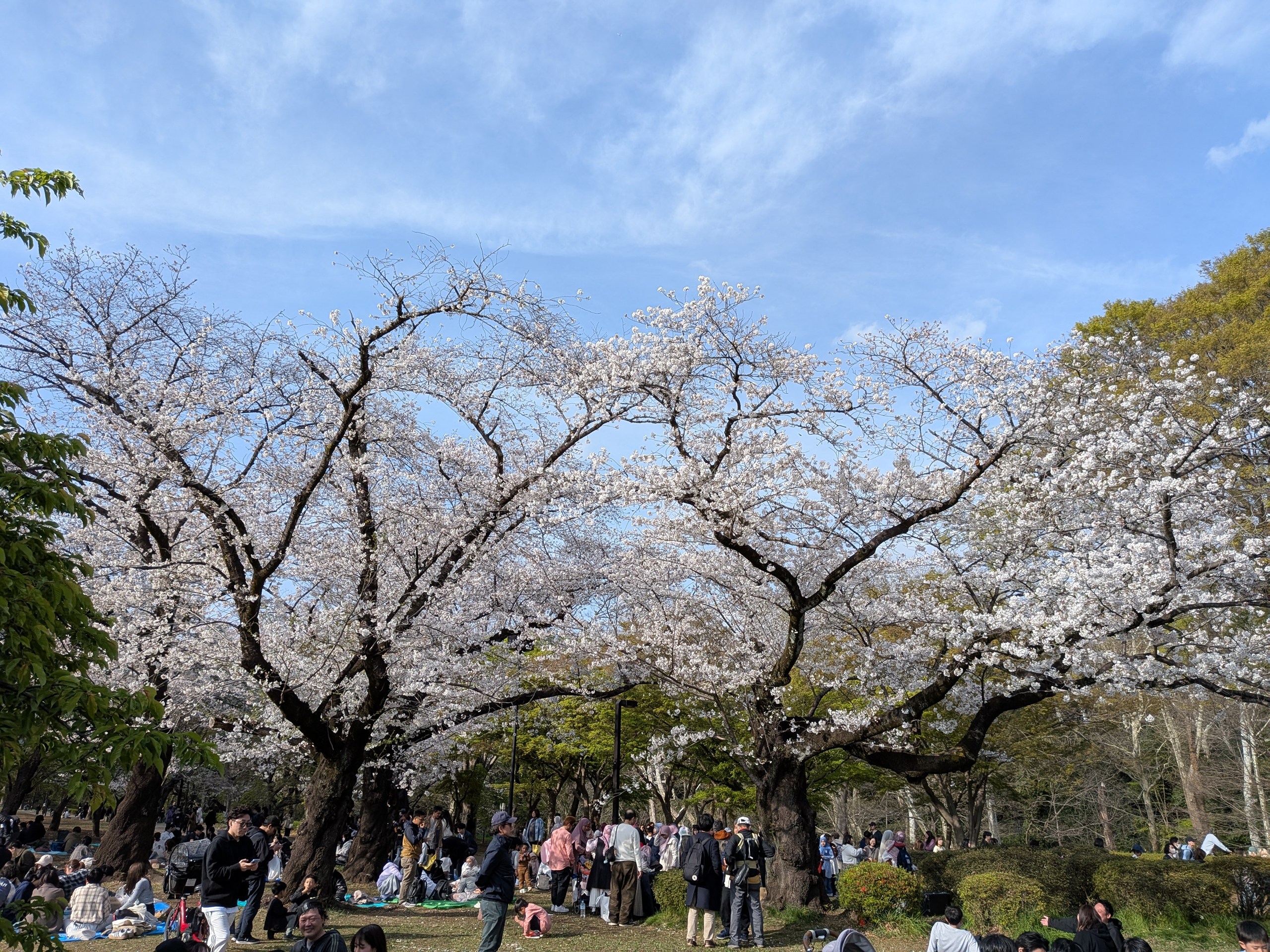 8倍ズームだとさすがに粗が出てくるが、ディスプレイ等倍ならギリギリOKなクオリティ。被写体によっては、よりキレイに補正されることも